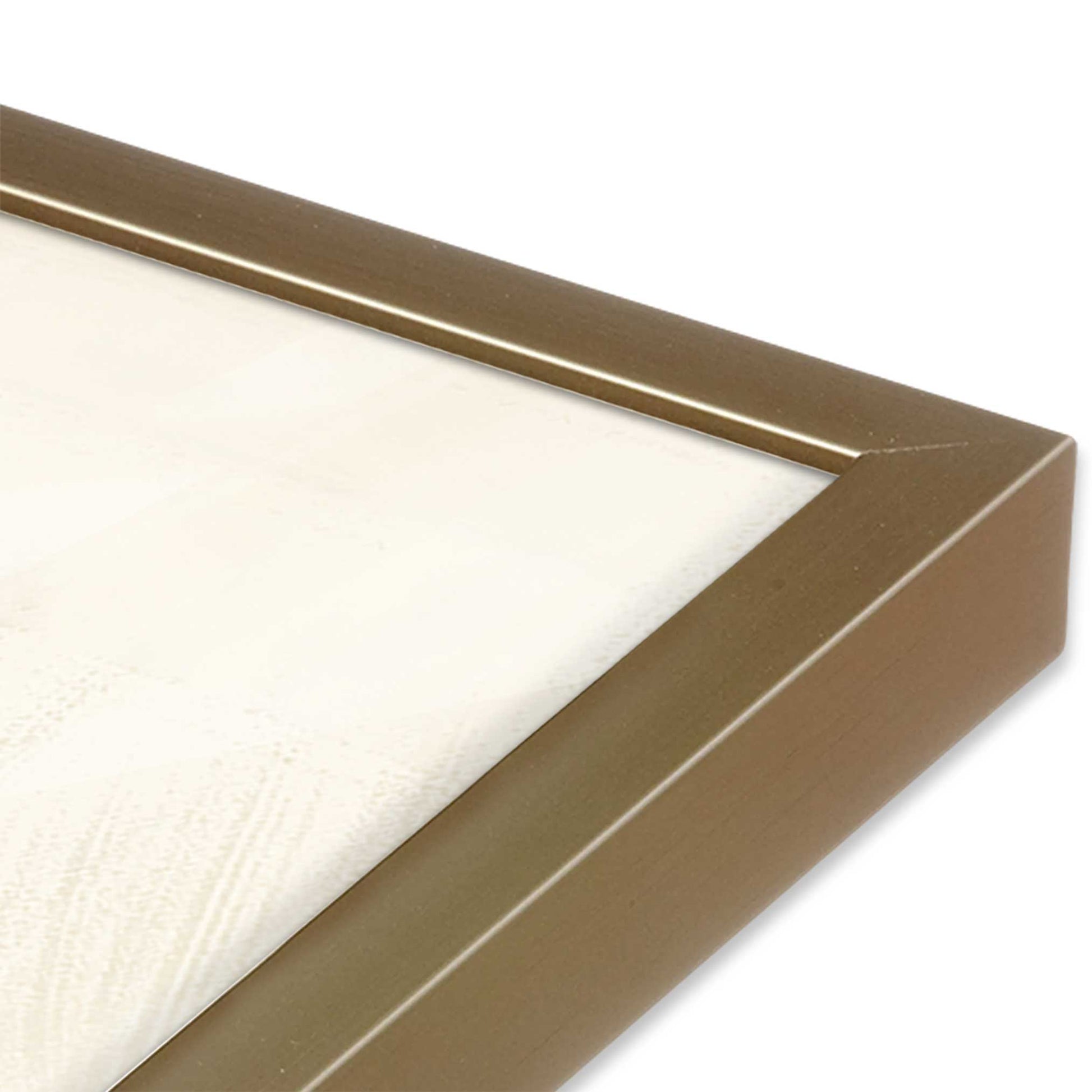 [Color:Brushed Gold] Picture of art in a Brushed Gold frame of the corner