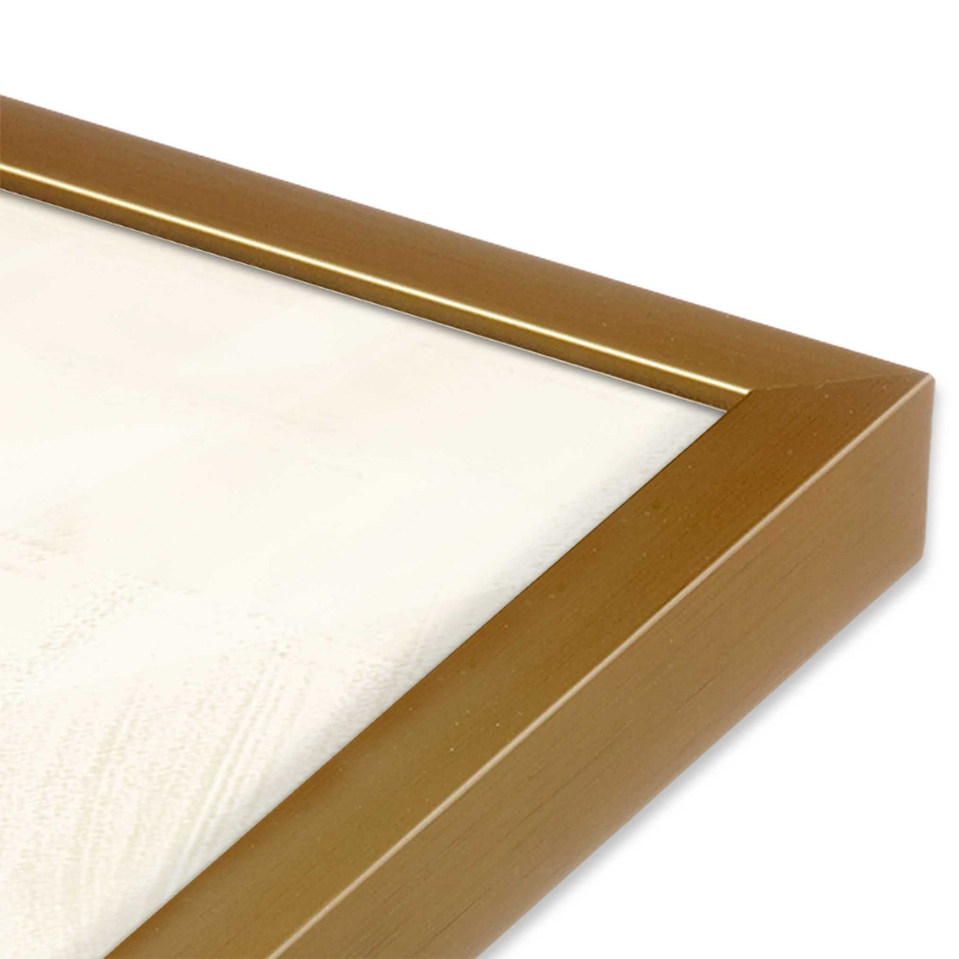 [Color:Polished Gold] Picture of art in a Polished Gold frame of the corner