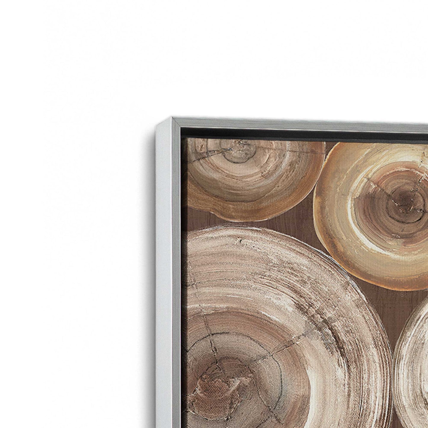 [Color:Polished Chrome], Picture of art in a Polished Chrome frame at an angle