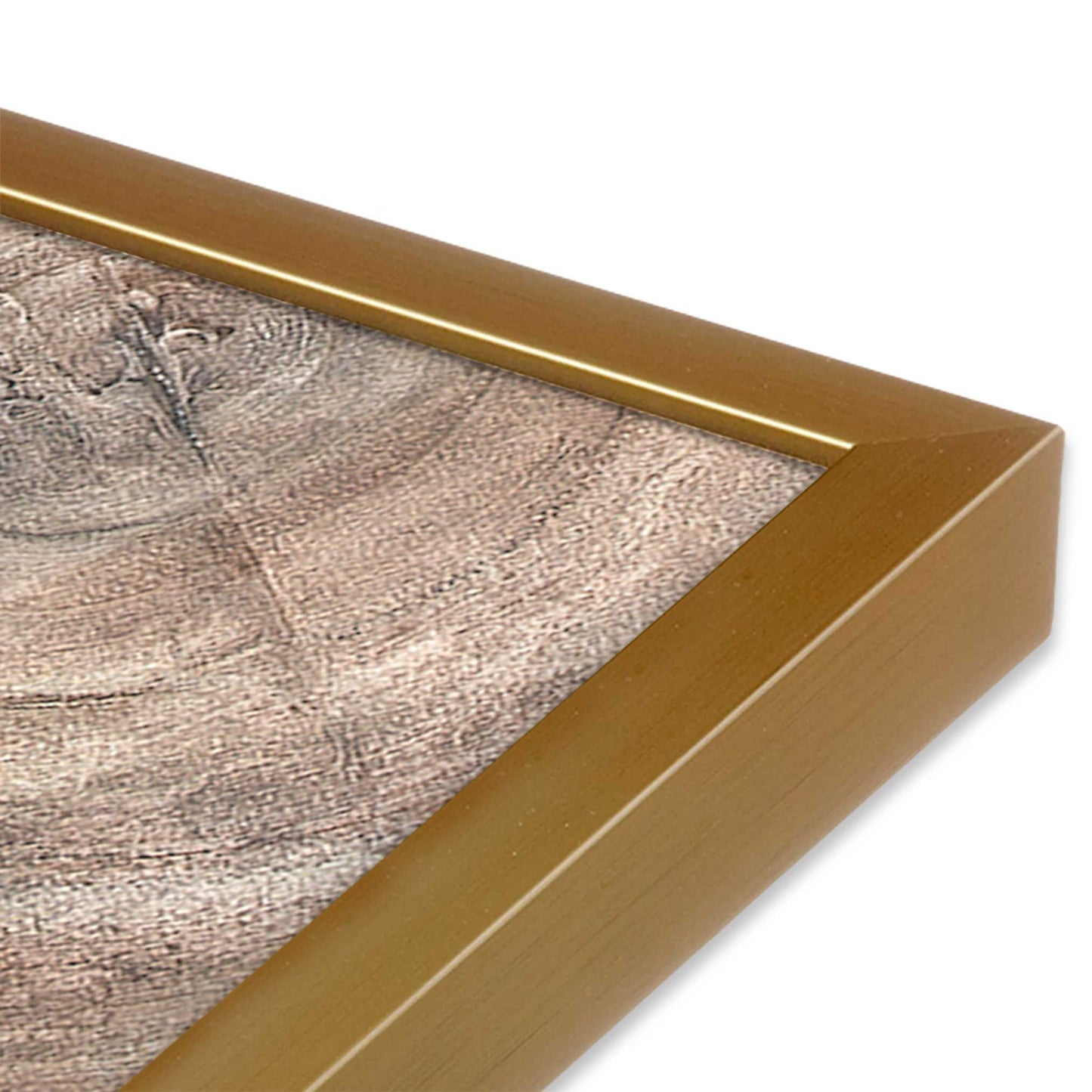 [Color:Polished Gold], Picture of art in a Polished Gold frame at an angle