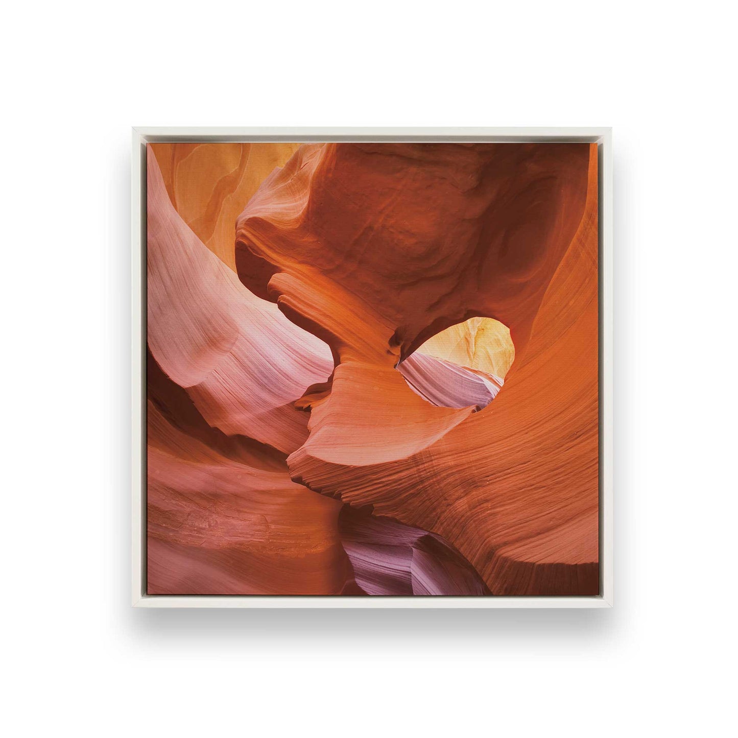 [Color:Opaque White], Picture of art in a White frame