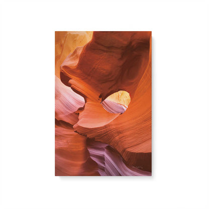 [Color:Stretched Canvas], Picture of art