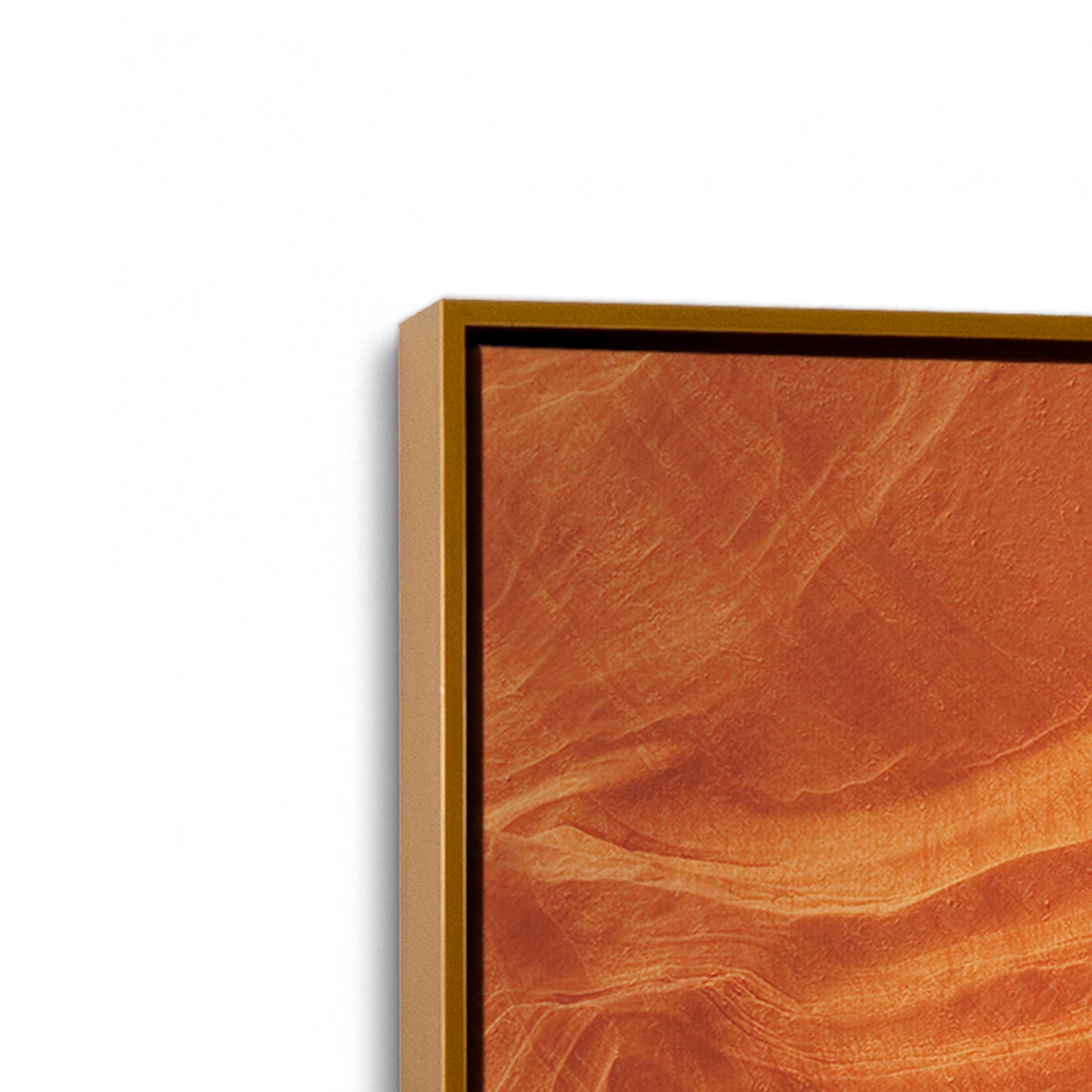 [Color:Polished Gold], Picture of art in a Polished Gold frame at an angle