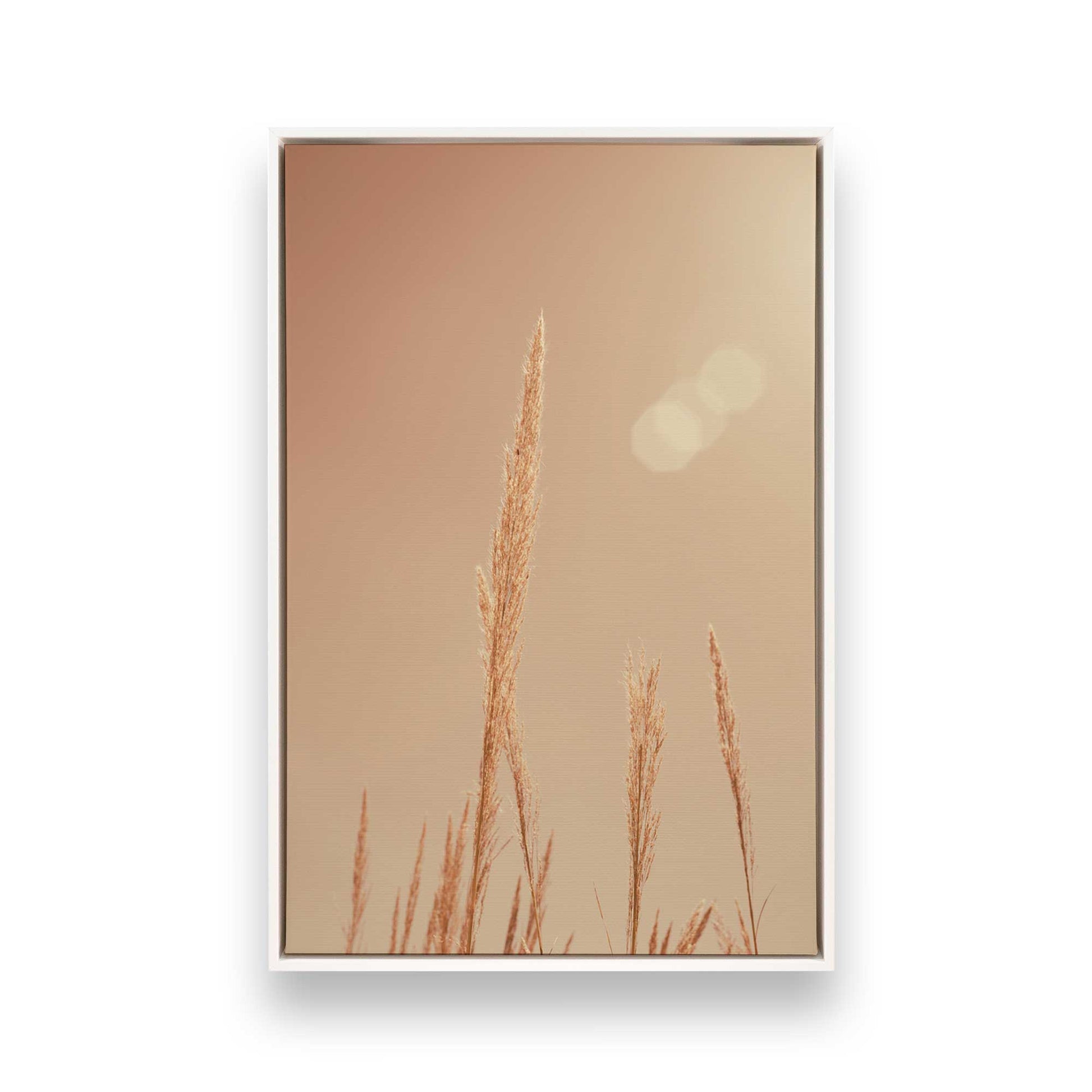 [Color:Opaque White], Picture of art in a White frame