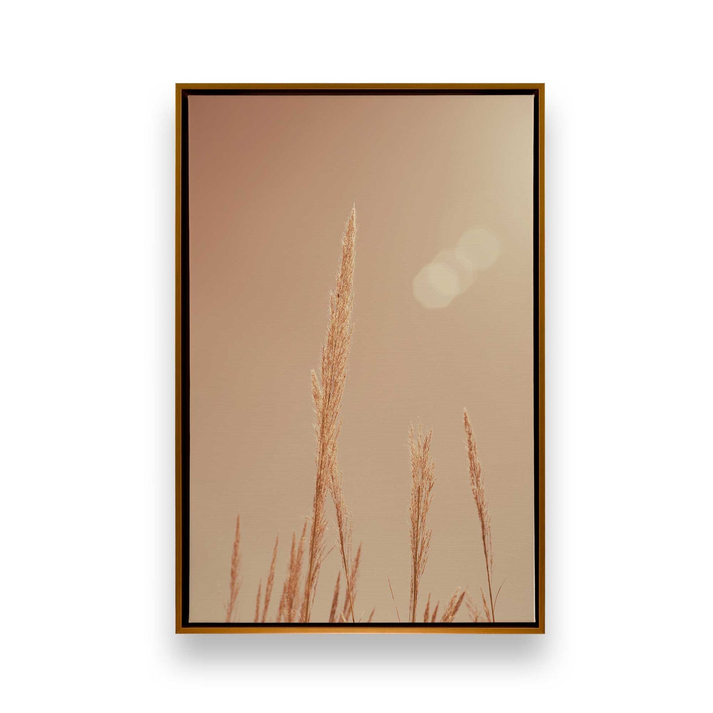 [Color:Polished Gold], Picture of art in a Polished Gold frame