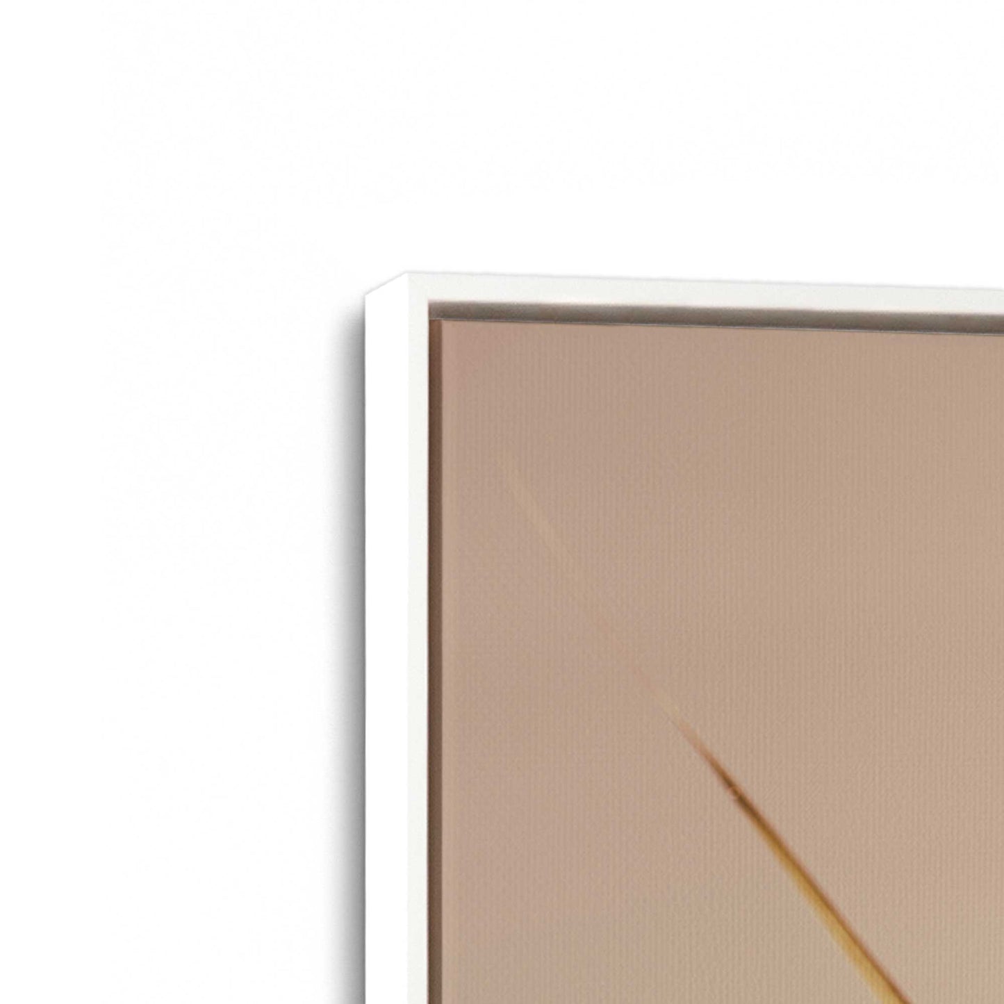 [Color:Opaque White], Picture of art in a White frame at an angle