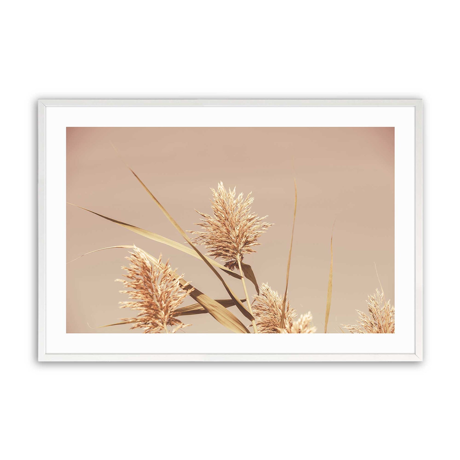 [Color:Opaque White], Picture of art in a Opaque White frame