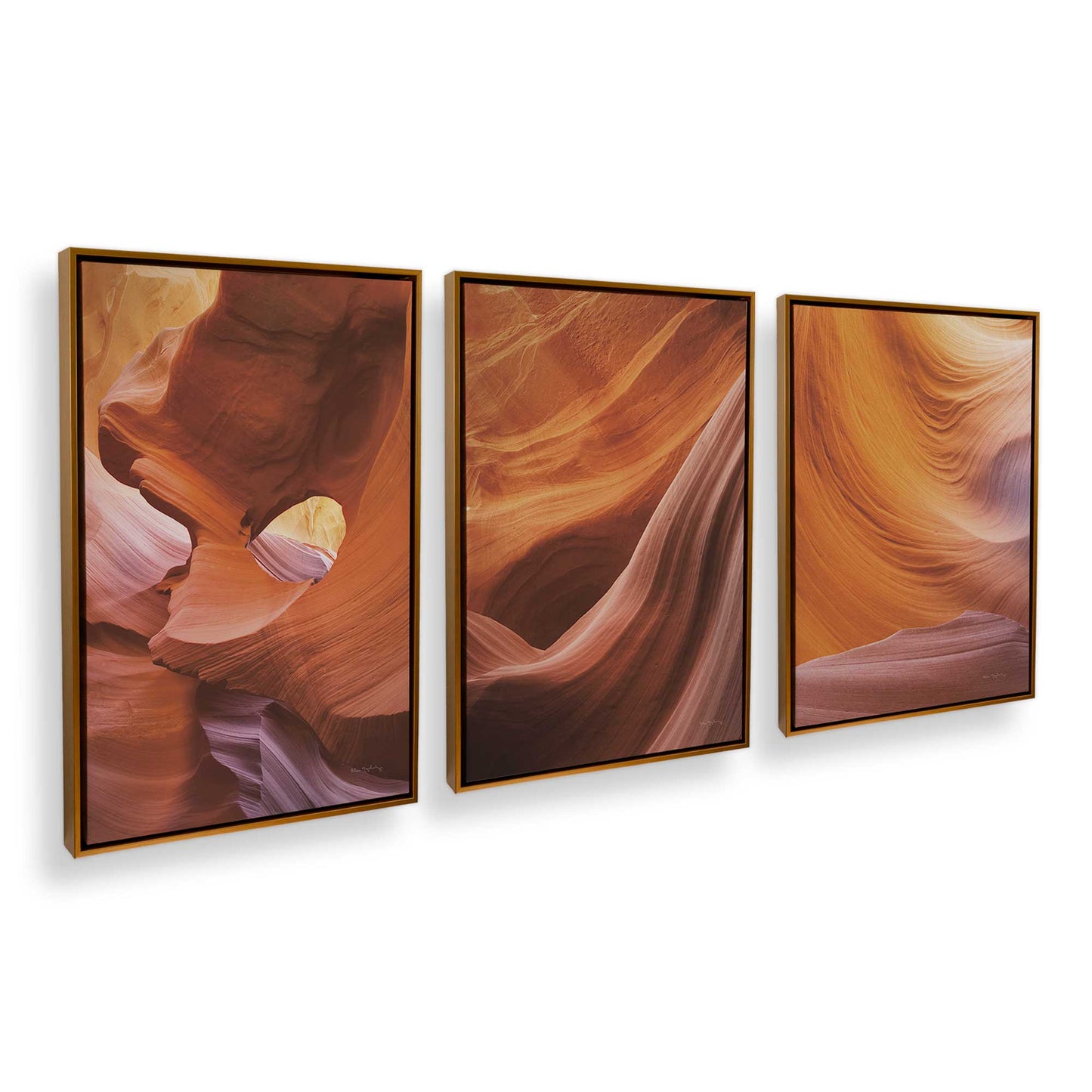 [Color:Polished Gold], Picture of art in a Polished Gold frame at an angle