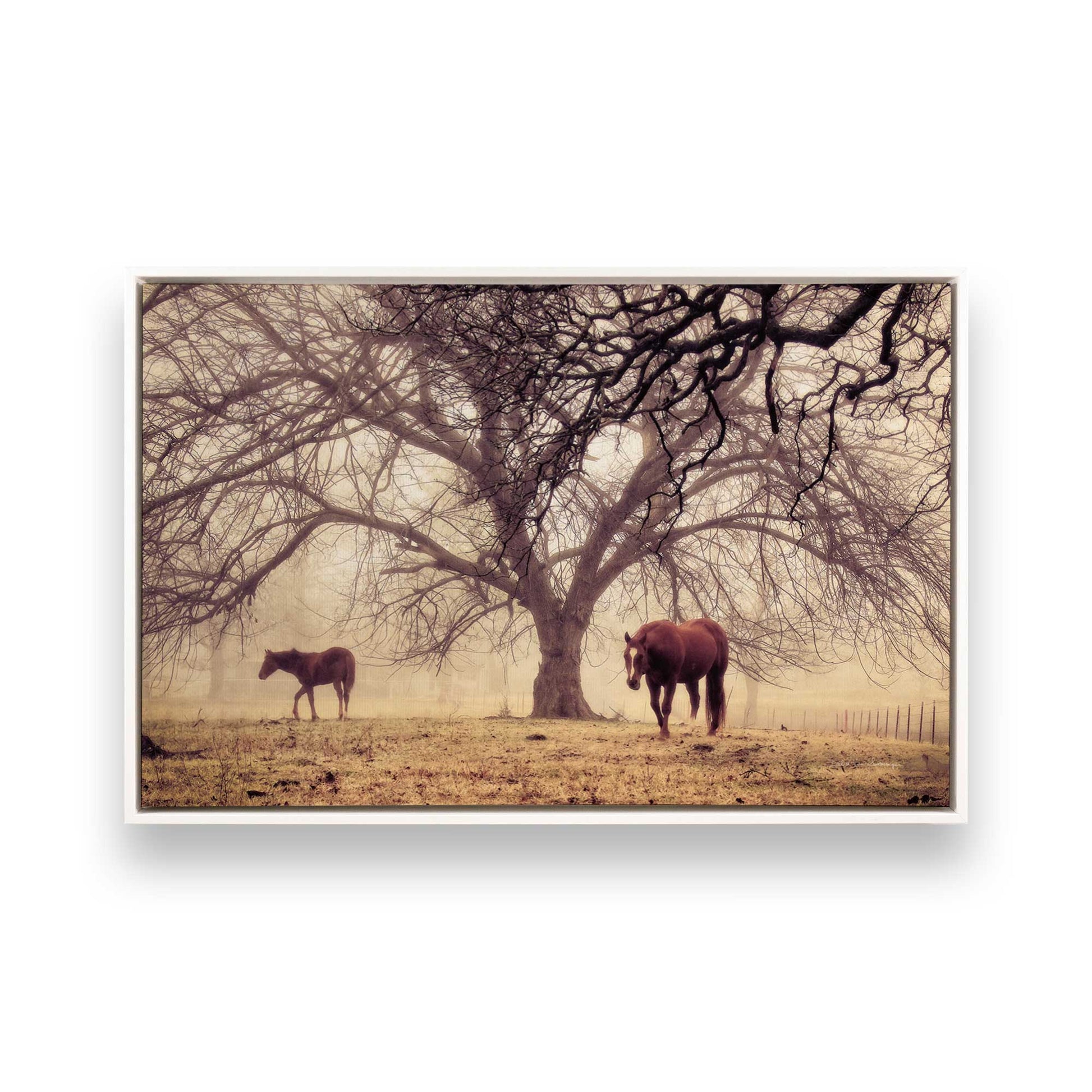 [Color:Opaque White], Picture of art in a White frame