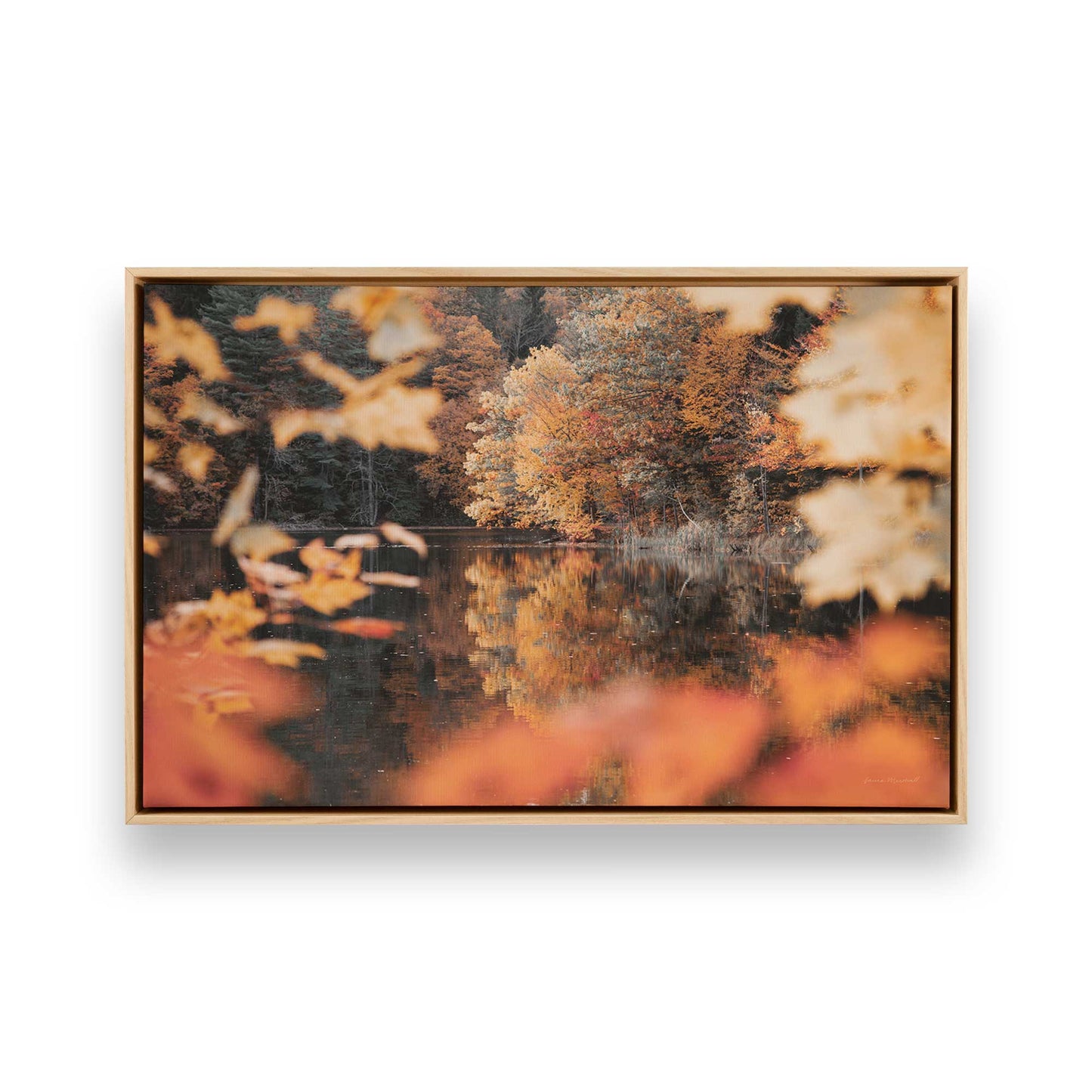 [Color:American Maple], Picture of art in a American Maple frame