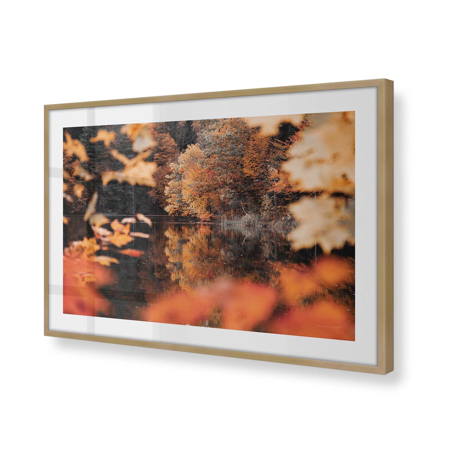 [Color:Brushed Gold], Picture of art in a Brushed Gold frame of the corner