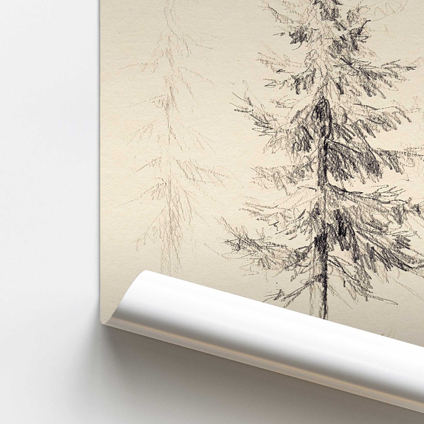 Winter Pines Print