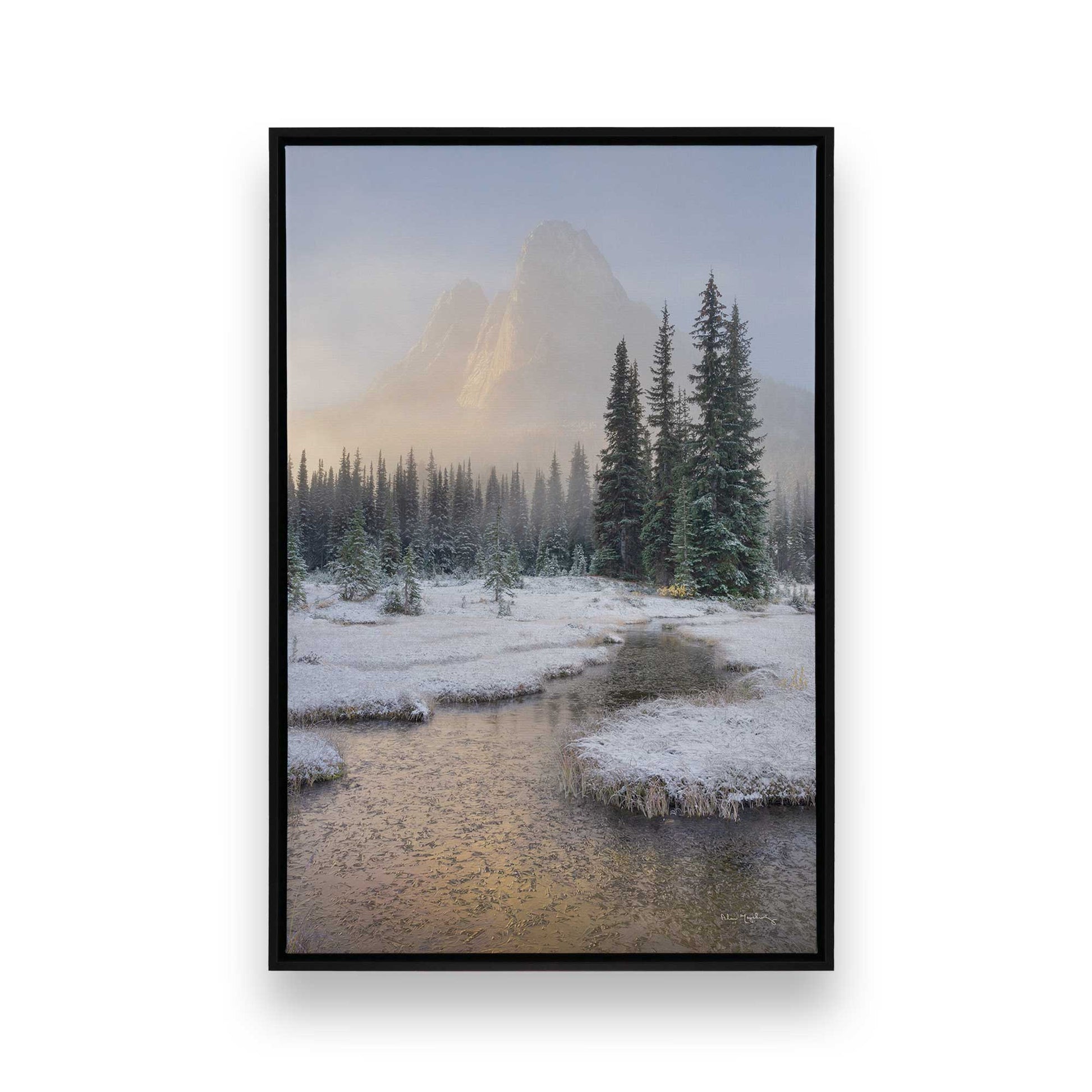 [Color:Satin Black],[SPECIAL], Front image of the art