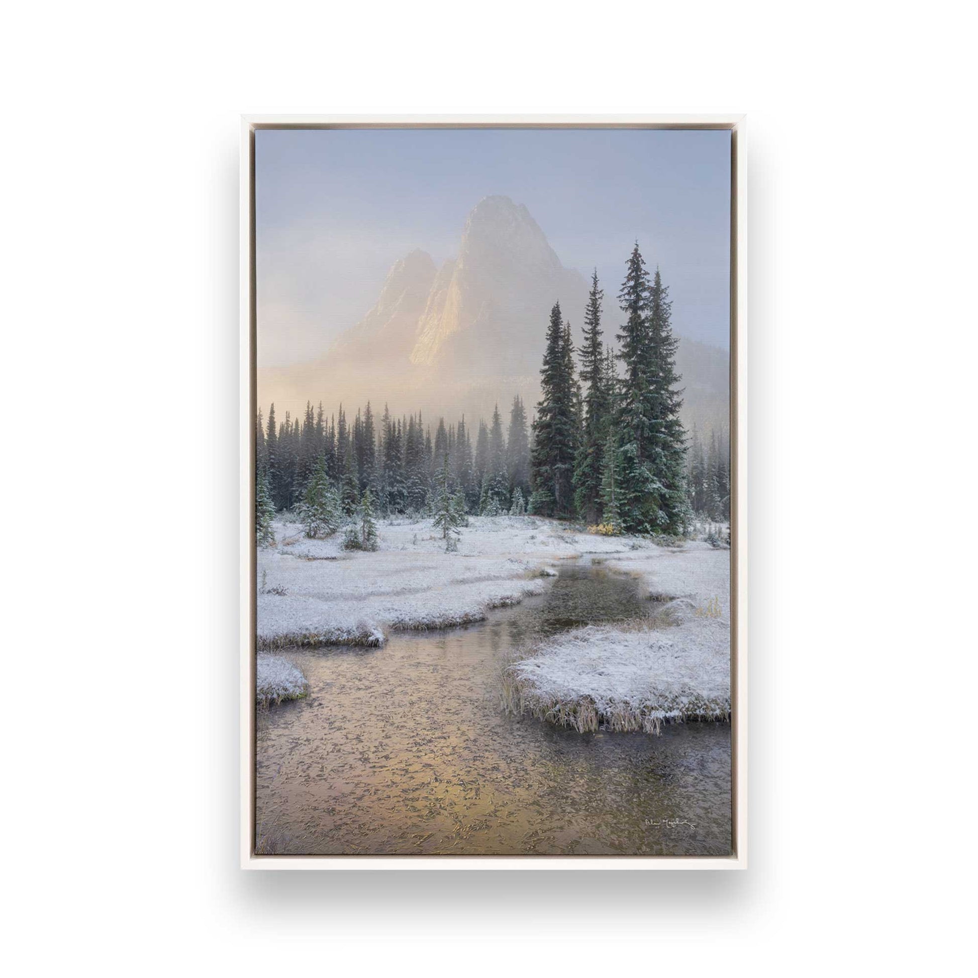 [Color:Opaque White], Picture of art in a White frame