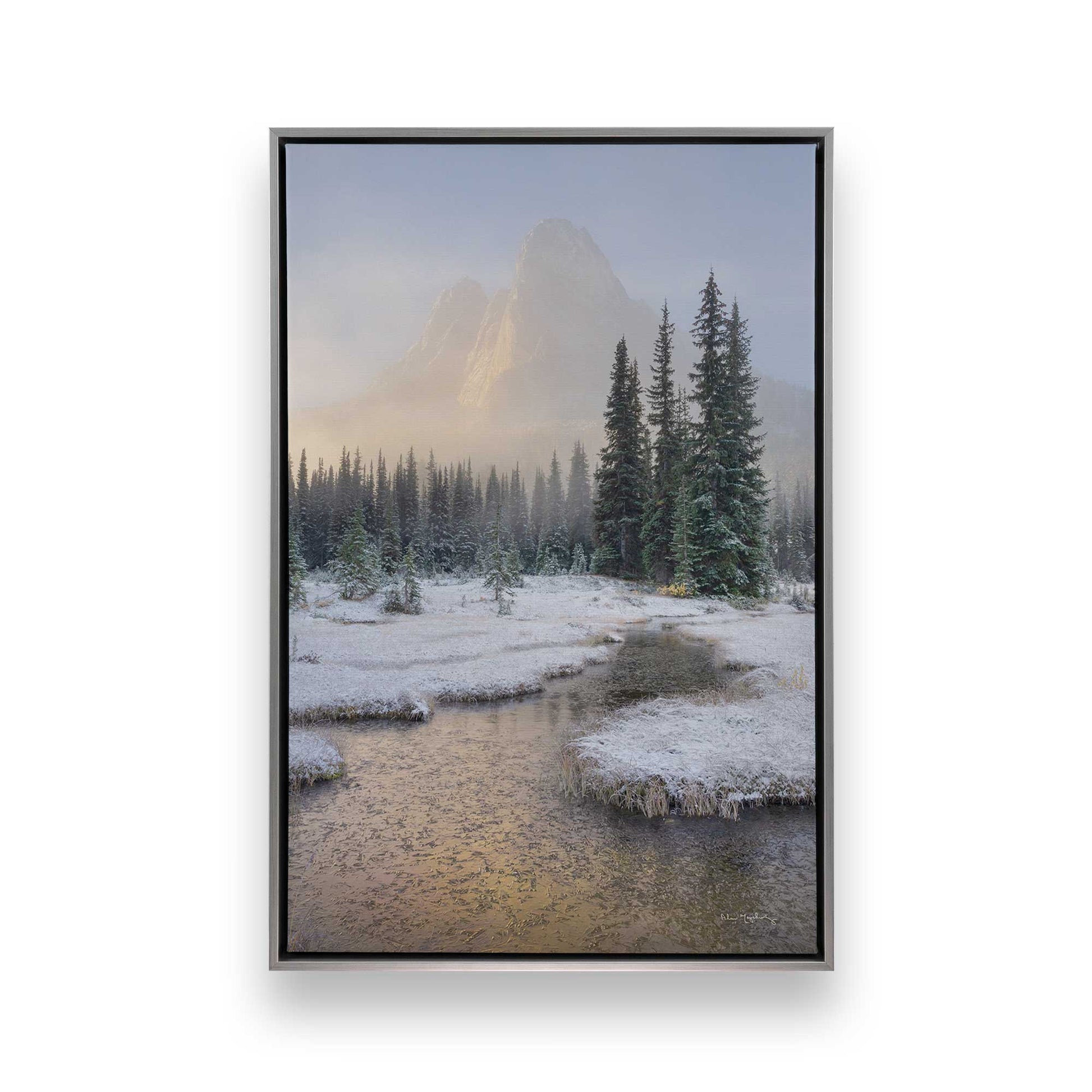 [Color:Polished Chrome], Picture of art in a Polished Chrome frame