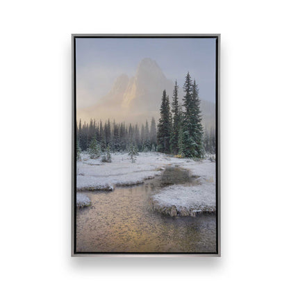 [Color:Polished Chrome], Picture of art in a Polished Chrome frame