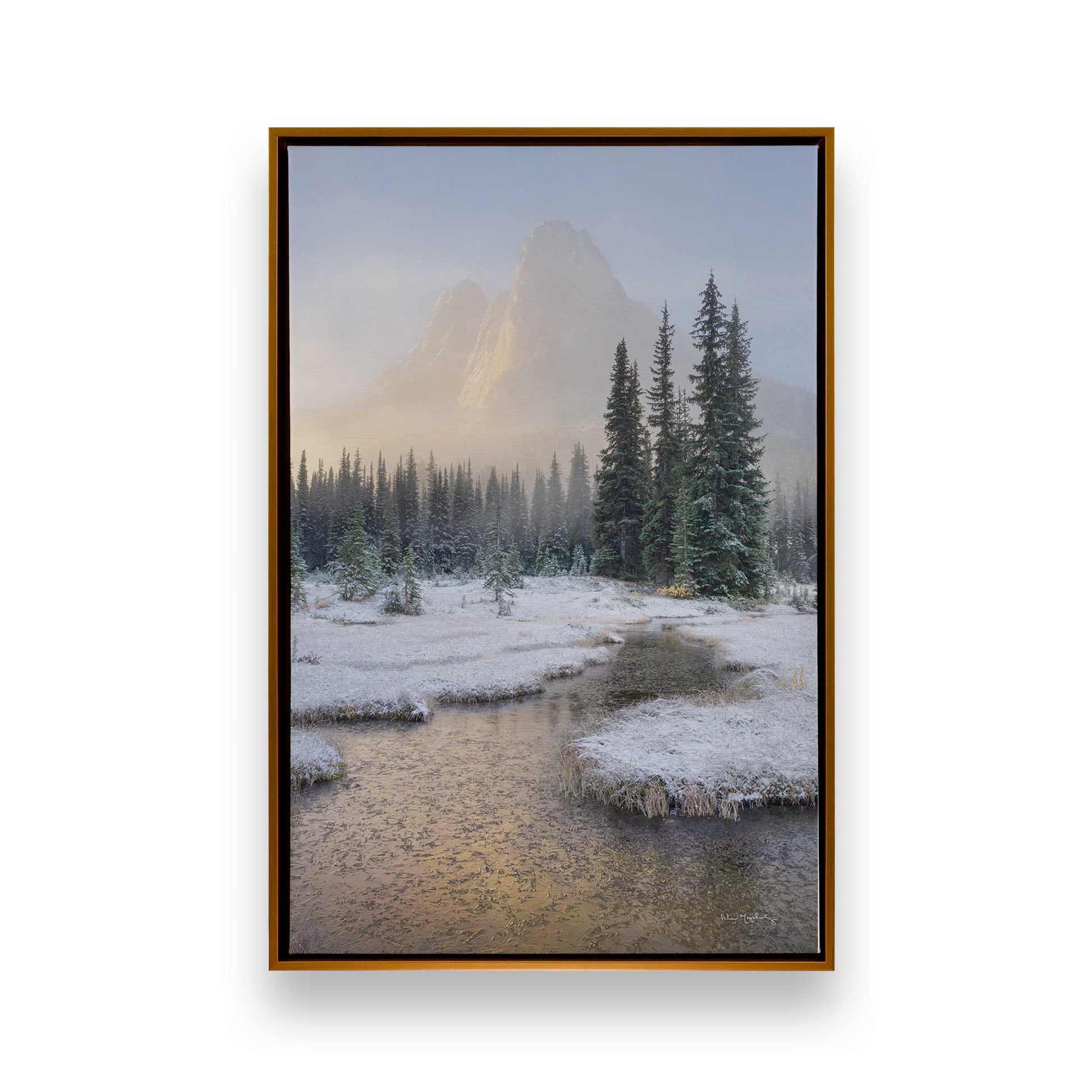 [Color:Polished Gold], Picture of art in a Polished Gold frame