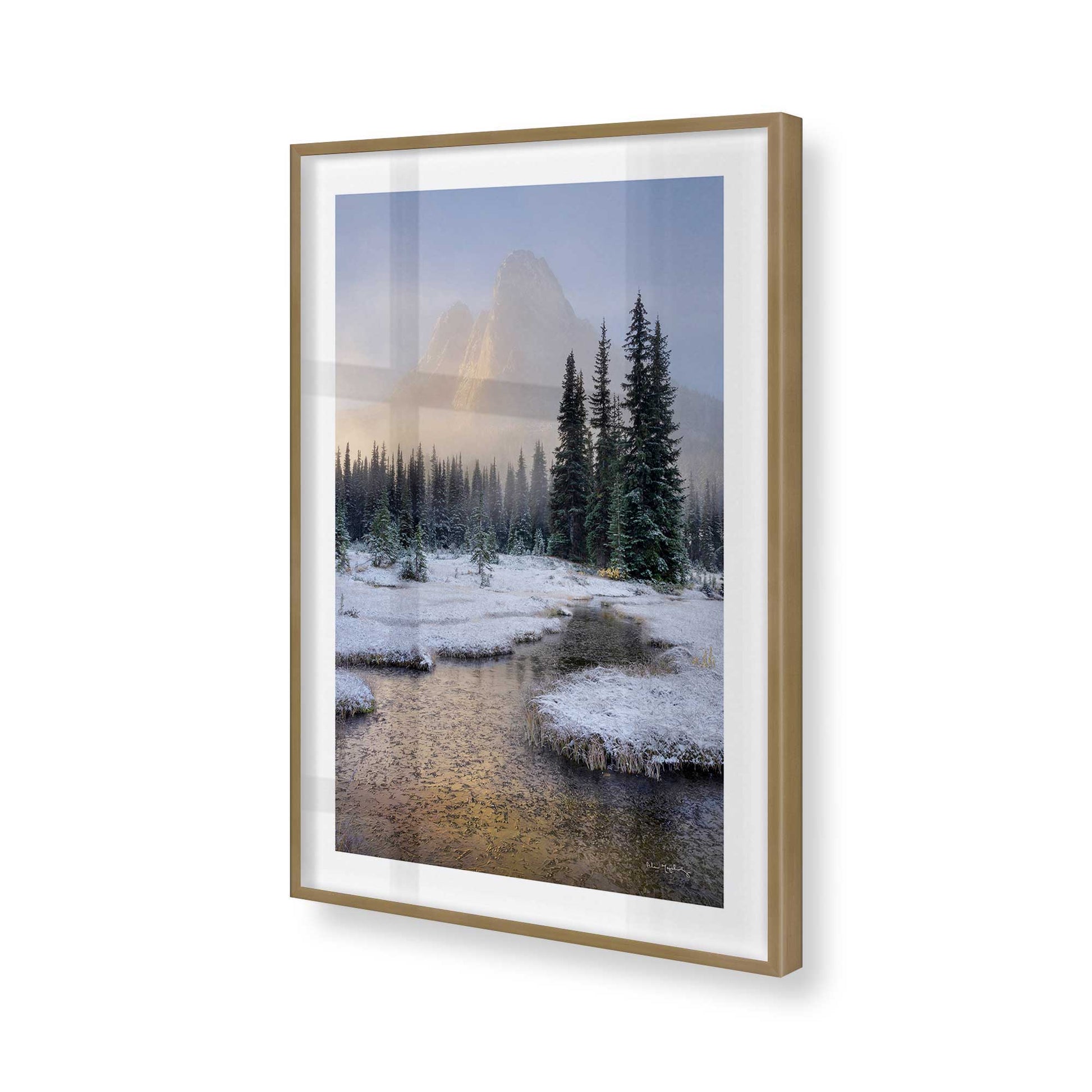 [Color:Brushed Gold], Picture of art in a Brushed Gold frame of the corner