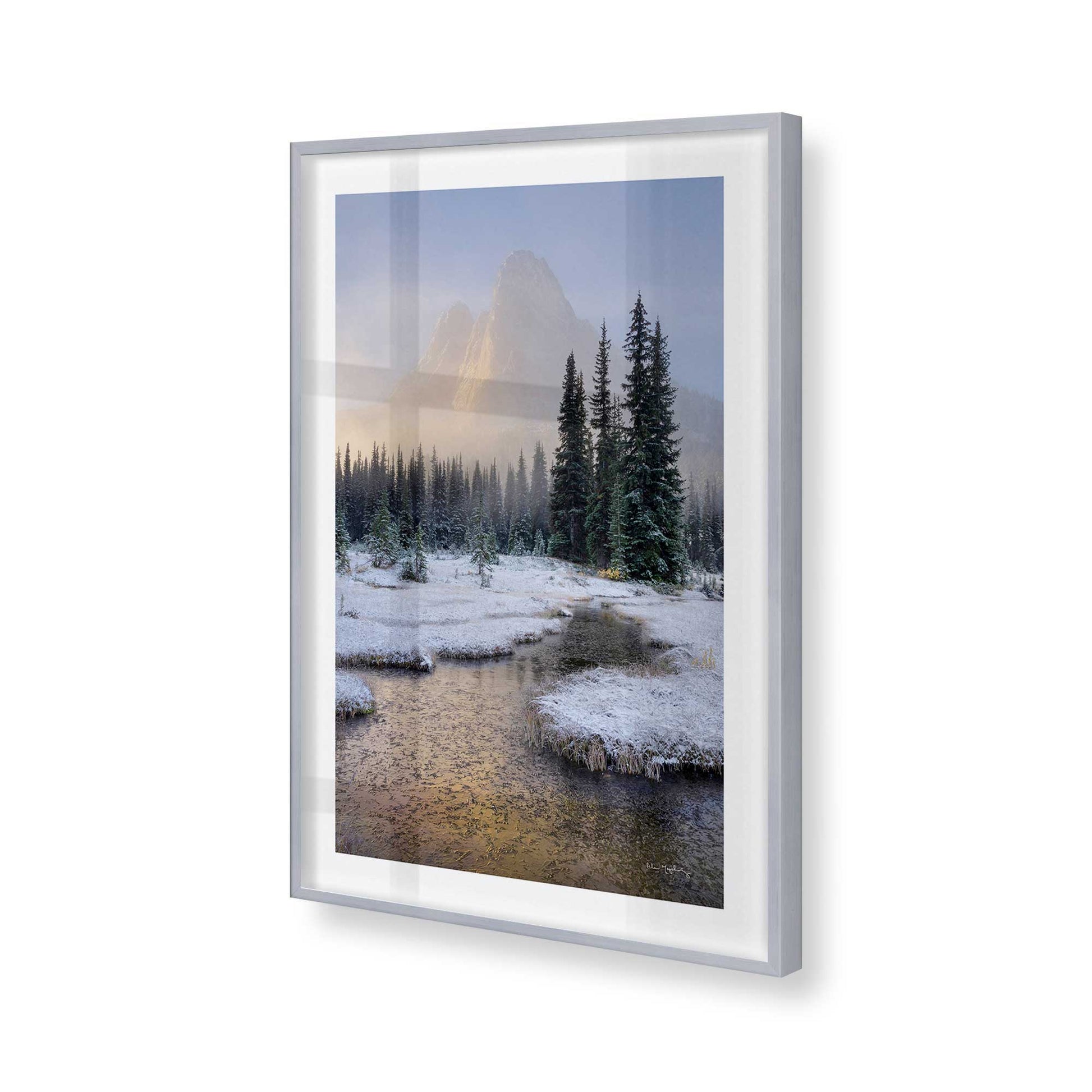 [Color:Polished Chrome], Picture of art in a Polished Chrome frame of the corner