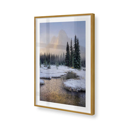 [Color:Polished Gold], Picture of art in a Polished Gold frame of the corner