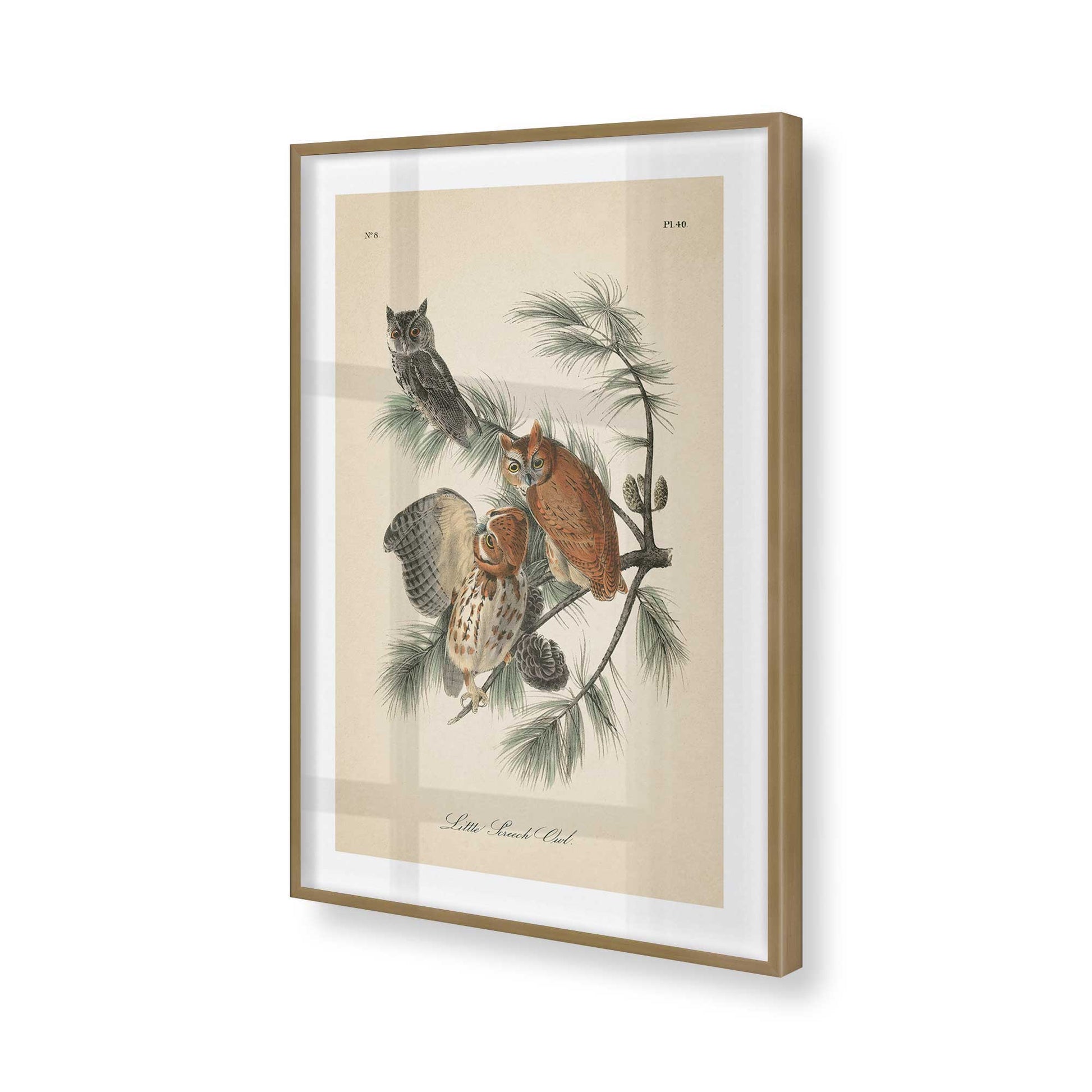 [Color:Brushed Gold], Picture of art in a Brushed Gold frame of the corner