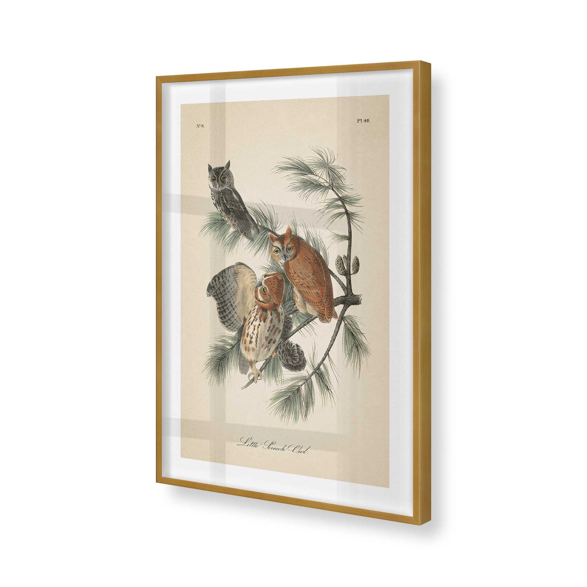 [Color:Polished Gold], Picture of art in a Polished Gold frame of the corner