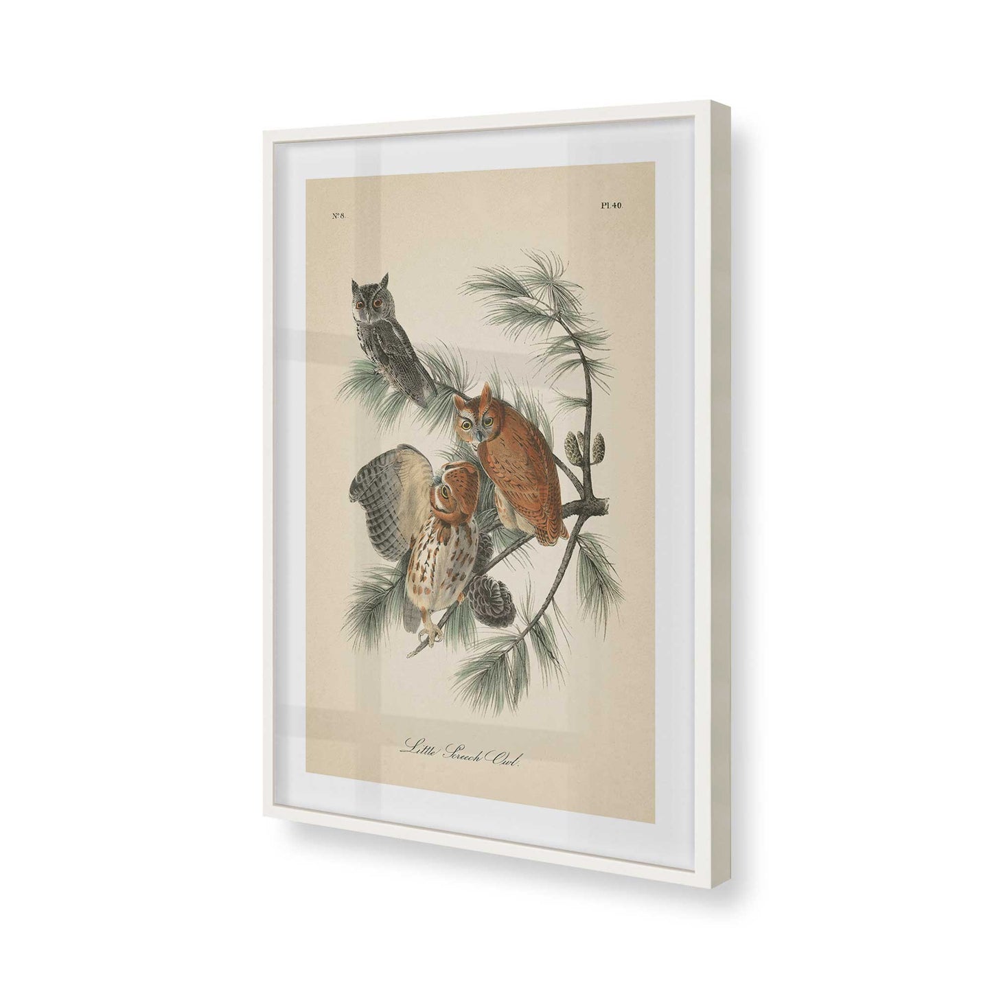 [Color:Opaque White], Picture of art in a Opaque White frame of the corner