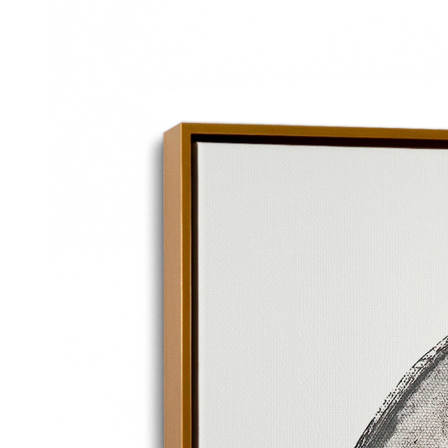 [Color:Polished Gold], Picture of art in a Polished Gold frame at an angle