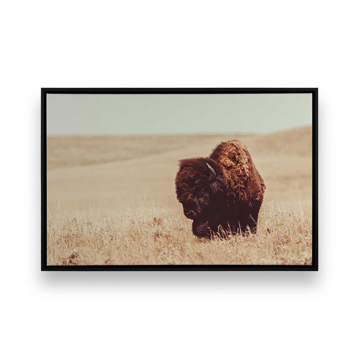 [Color:Satin Black],[SPECIAL], Front image of the art