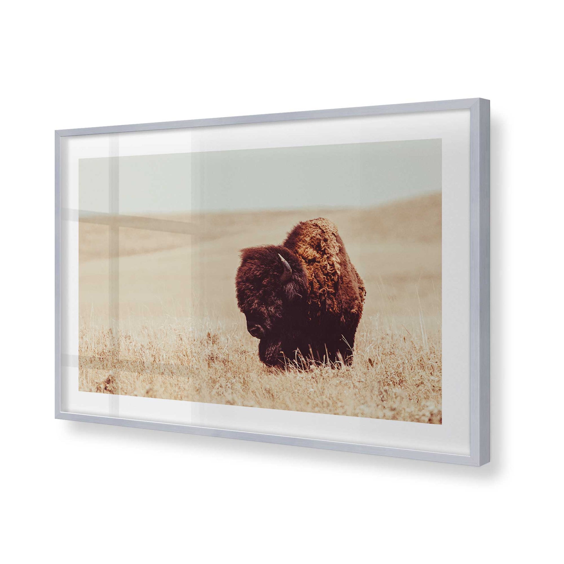 [Color:Polished Chrome], Picture of art in a Polished Chrome frame of the corner