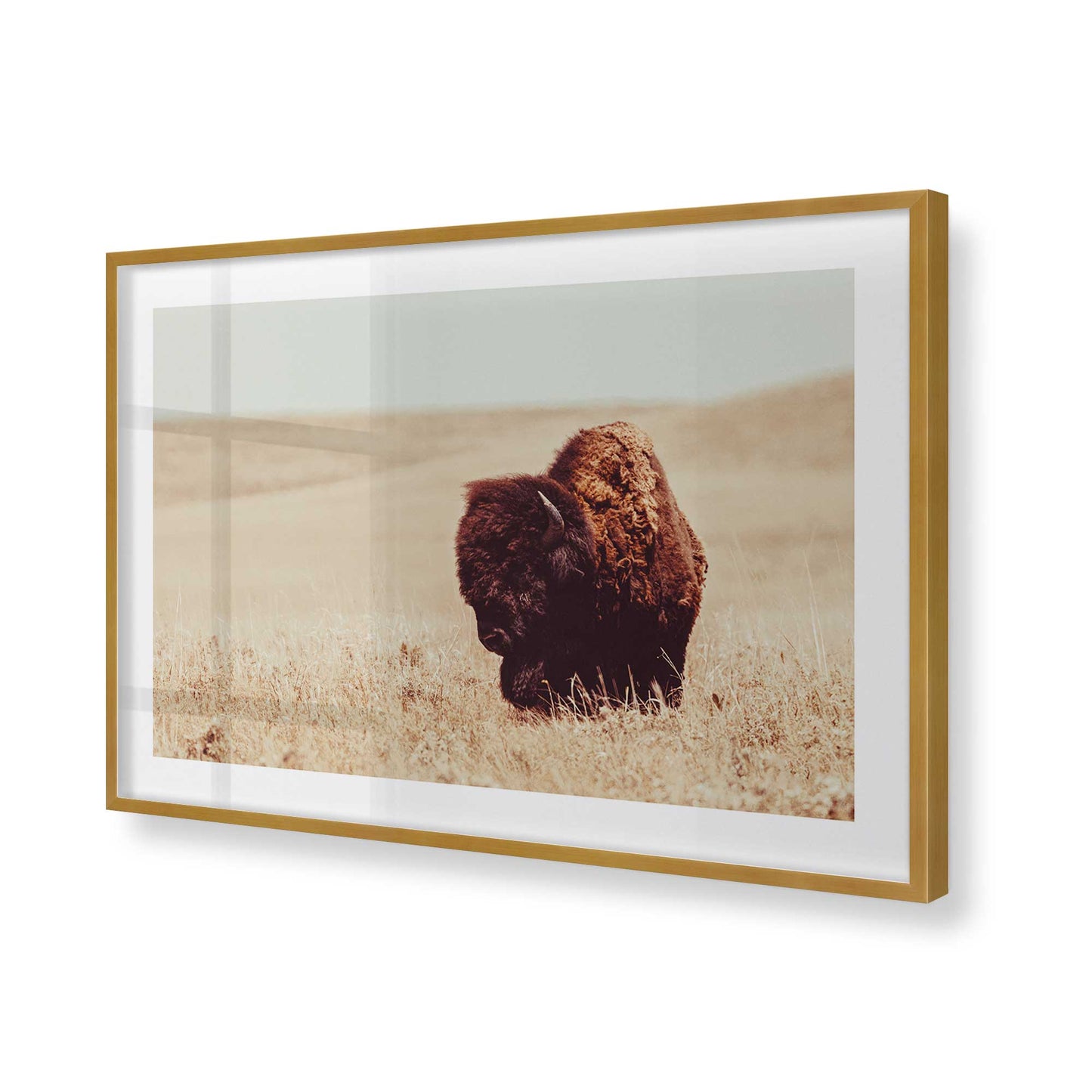 [Color:Polished Gold], Picture of art in a Polished Gold frame of the corner