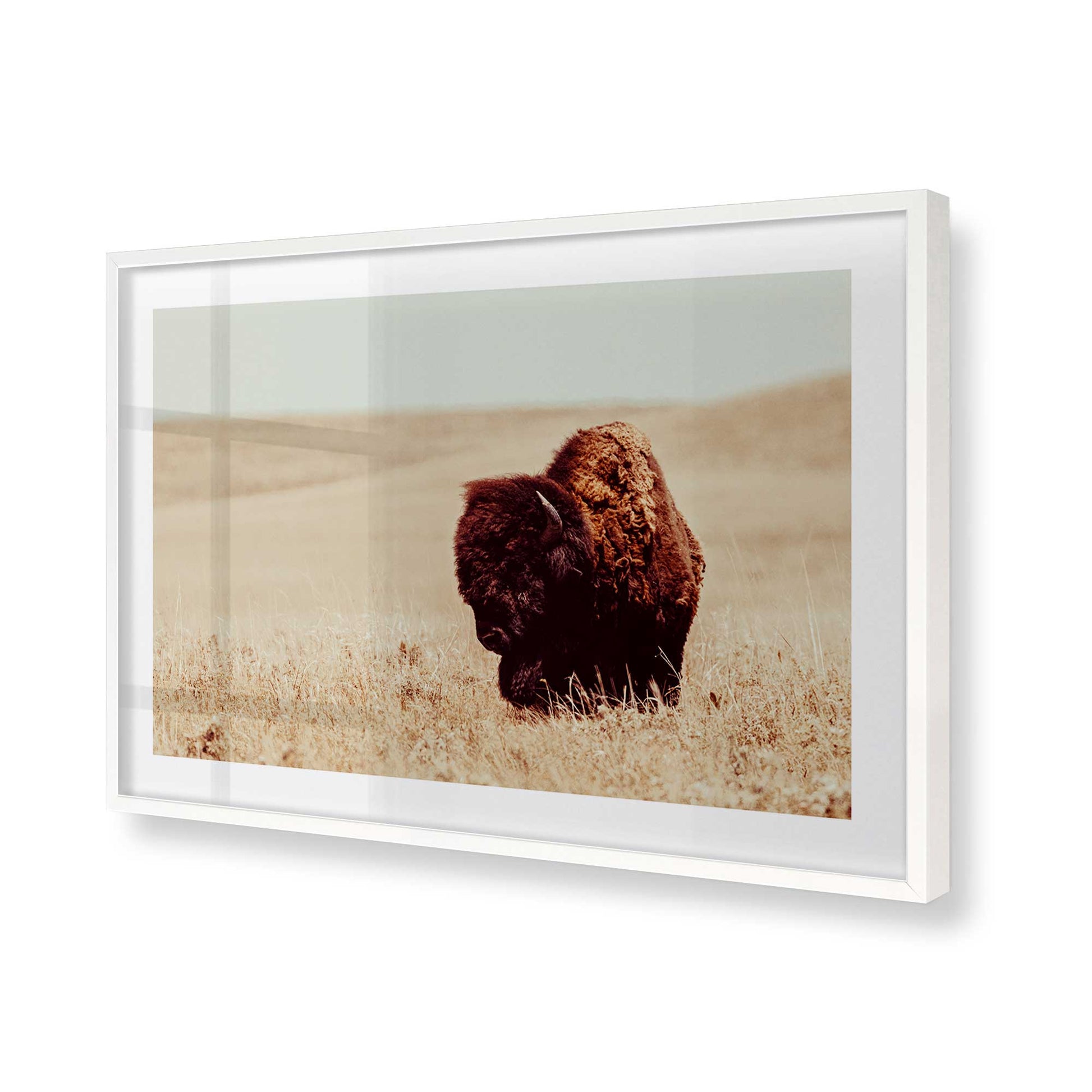 [Color:Opaque White], Picture of art in a Opaque White frame of the corner