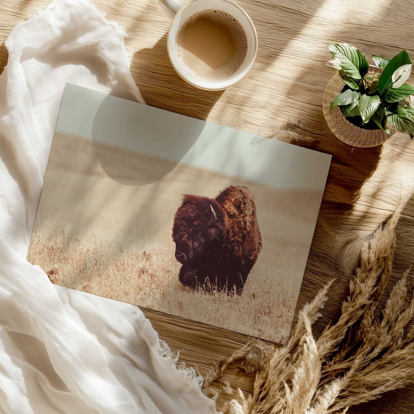 Grazing Bison Serenity Print