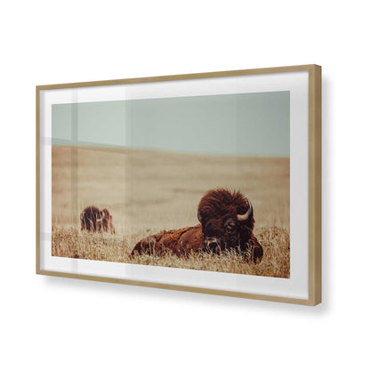 [Color:Brushed Gold], Picture of art in a Brushed Gold frame of the corner