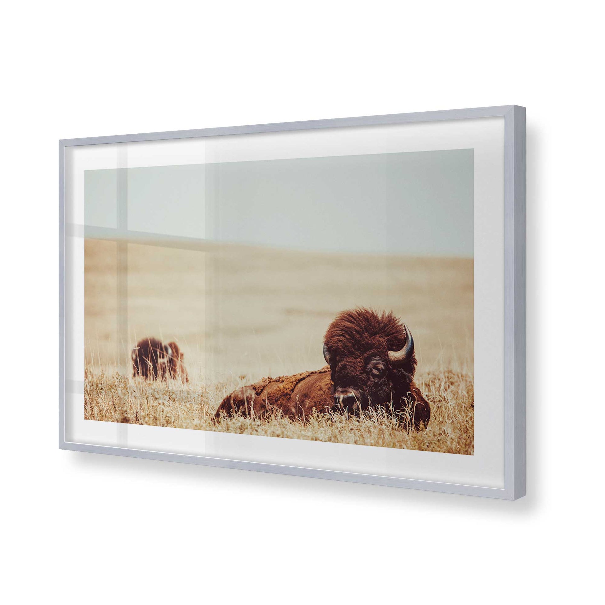 [Color:Polished Chrome], Picture of art in a Polished Chrome frame of the corner