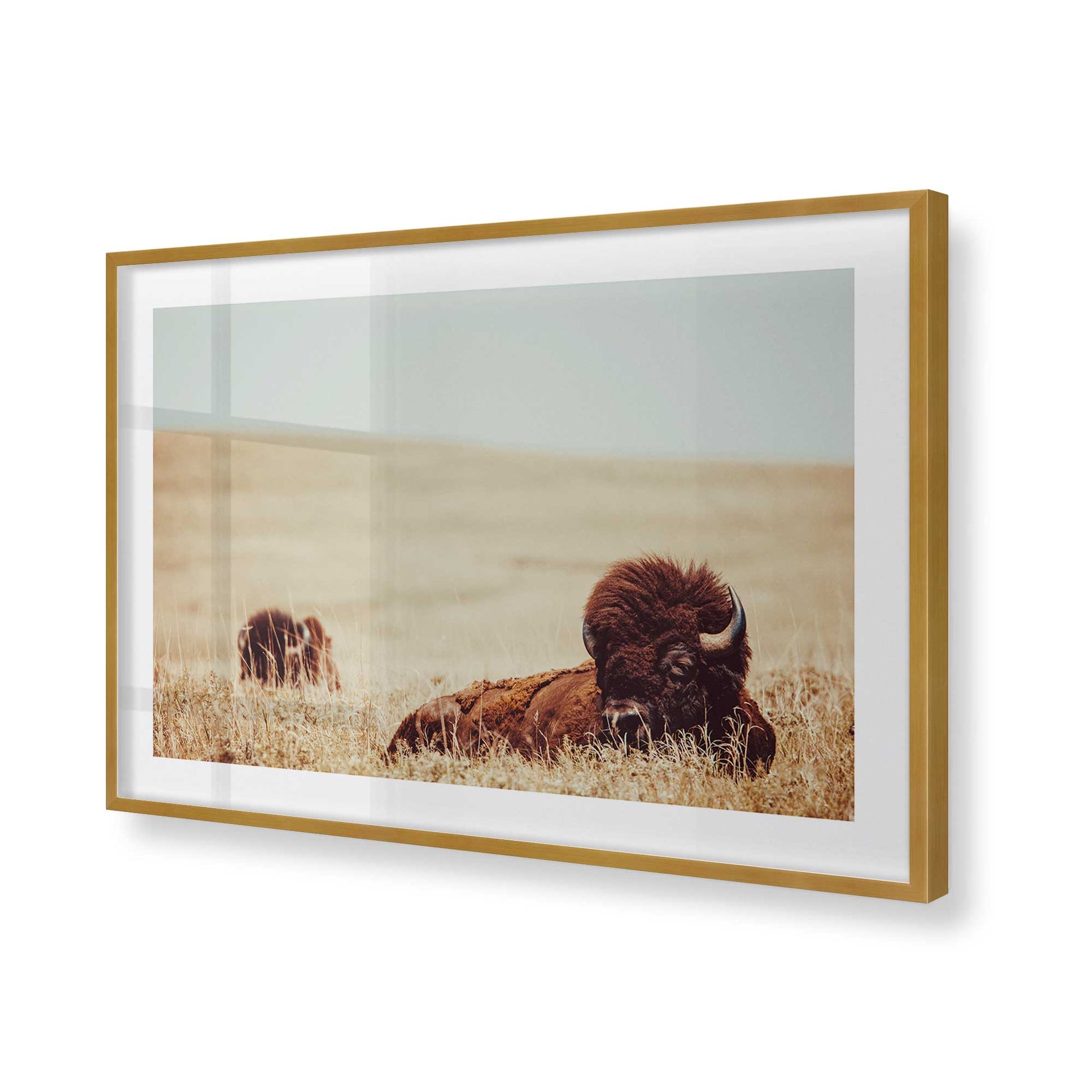 [Color:Polished Gold], Picture of art in a Polished Gold frame of the corner