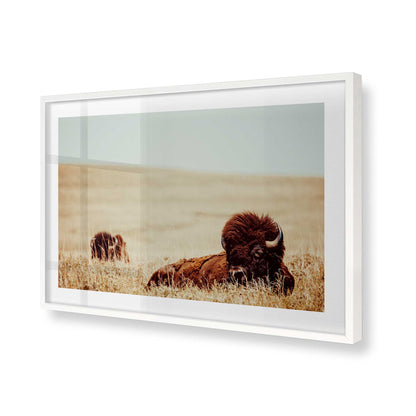 [Color:Opaque White], Picture of art in a Opaque White frame of the corner