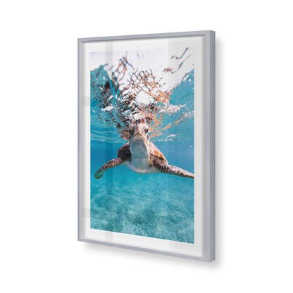 [Color:Polished Chrome], Picture of art in a Polished Chrome frame of the corner