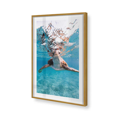 [Color:Polished Gold], Picture of art in a Polished Gold frame of the corner