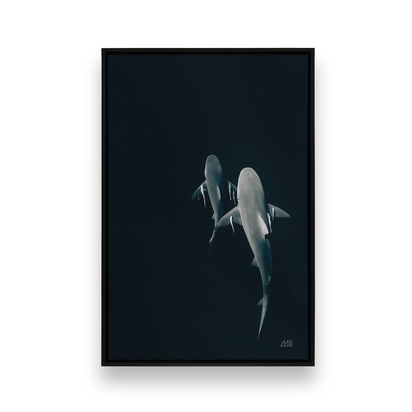 [Color:Satin Black],[SPECIAL], Front image of the art