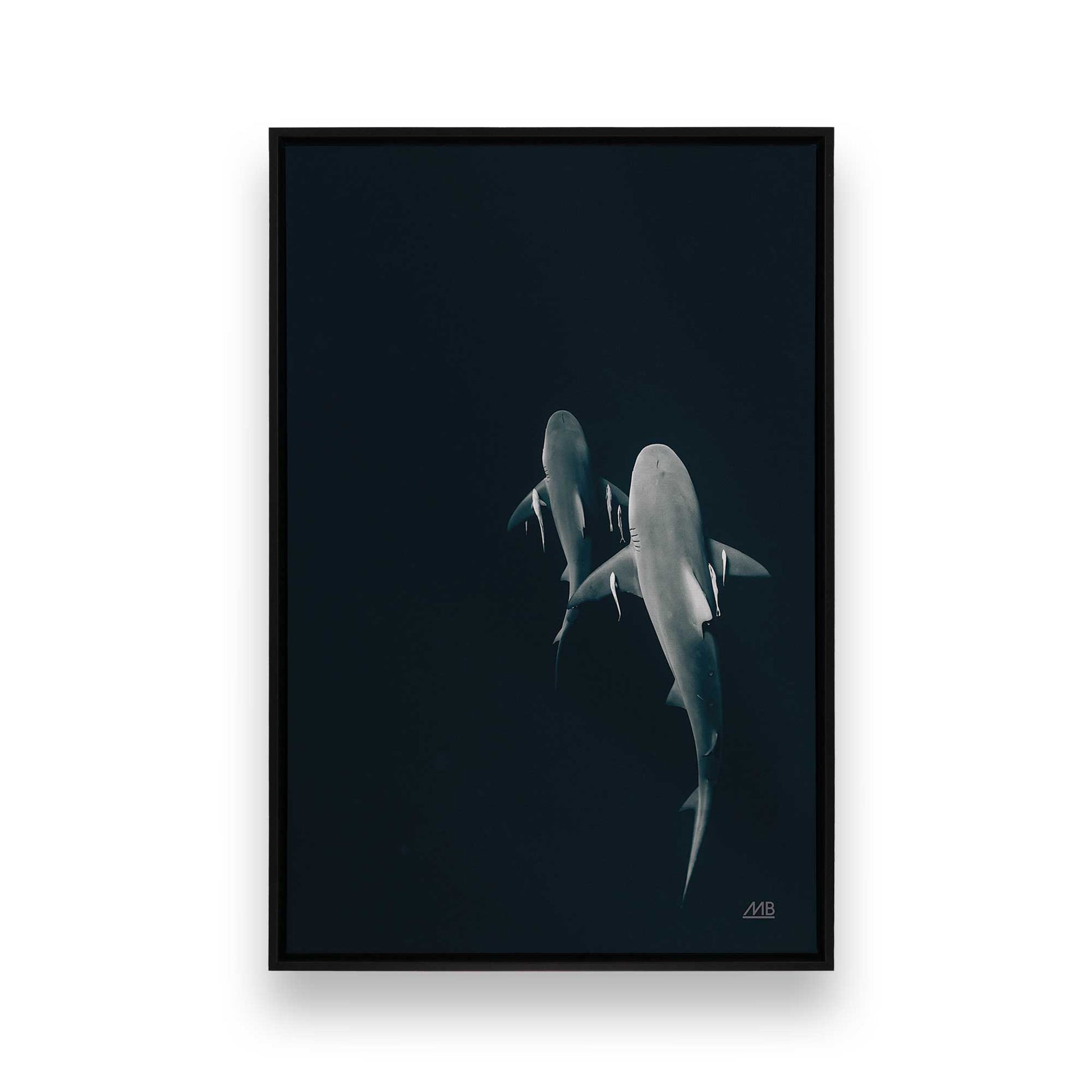 [Color:Satin Black],[SPECIAL], Front image of the art