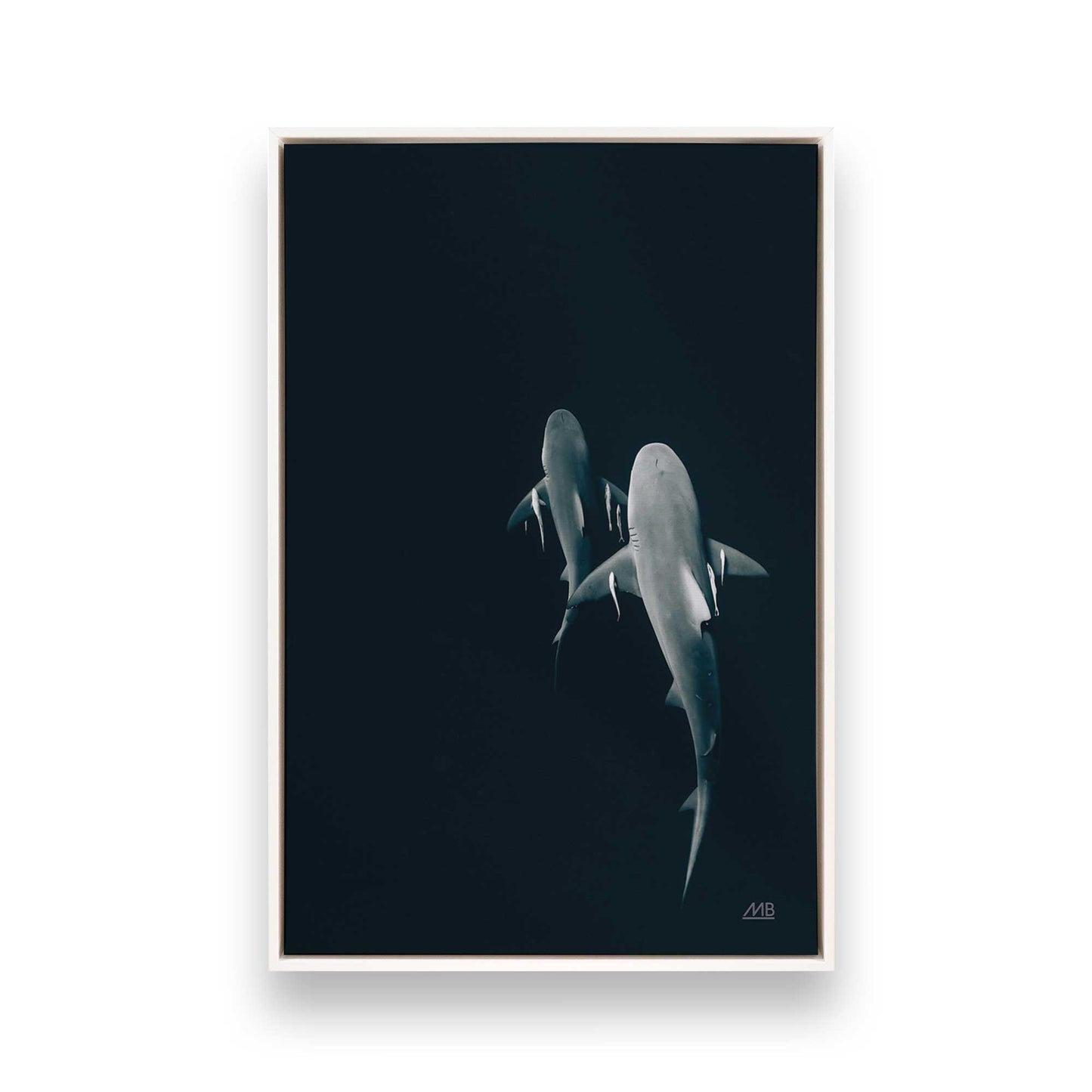 [Color:Opaque White], Picture of art in a White frame