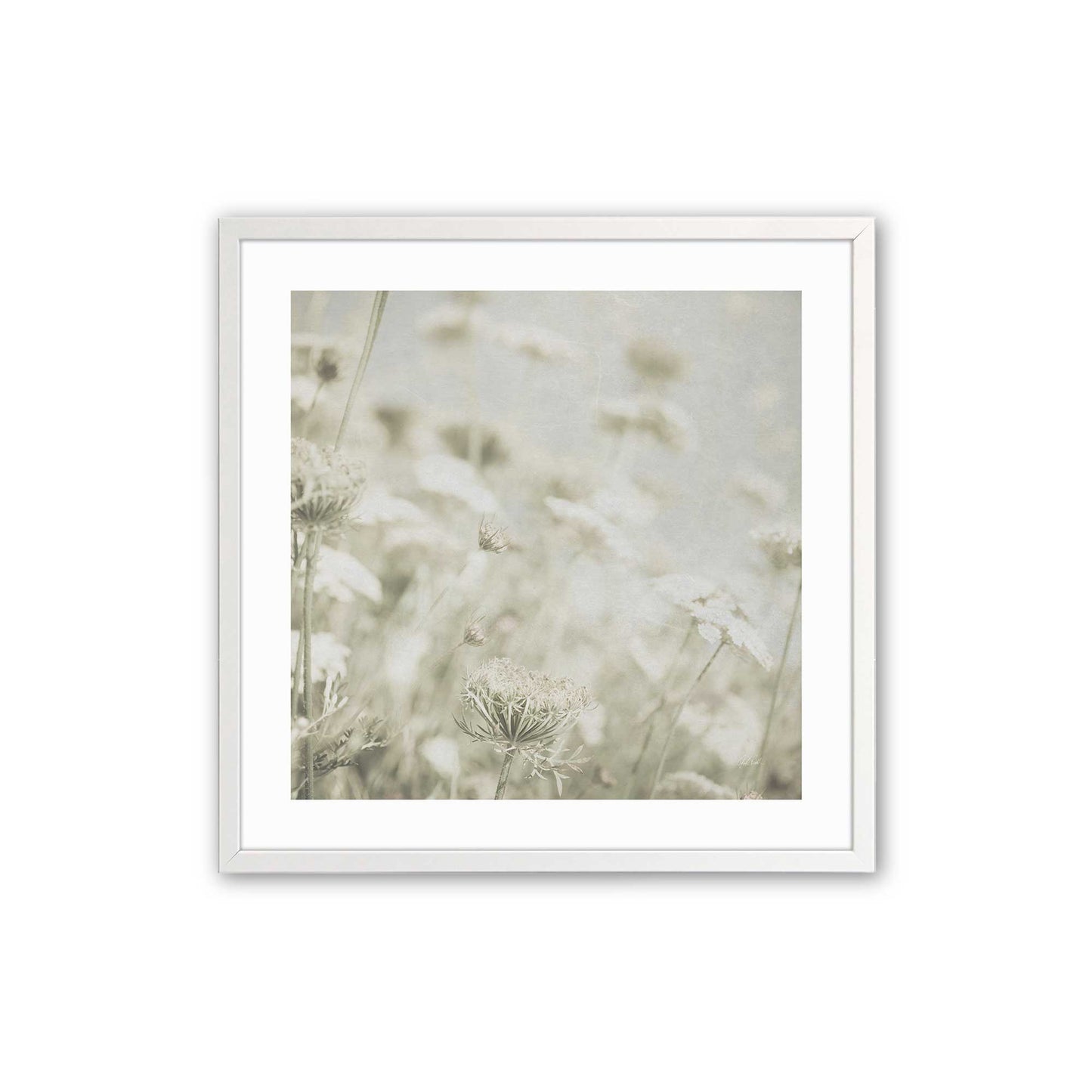 [Color:Opaque White], Picture of art in a Opaque White frame