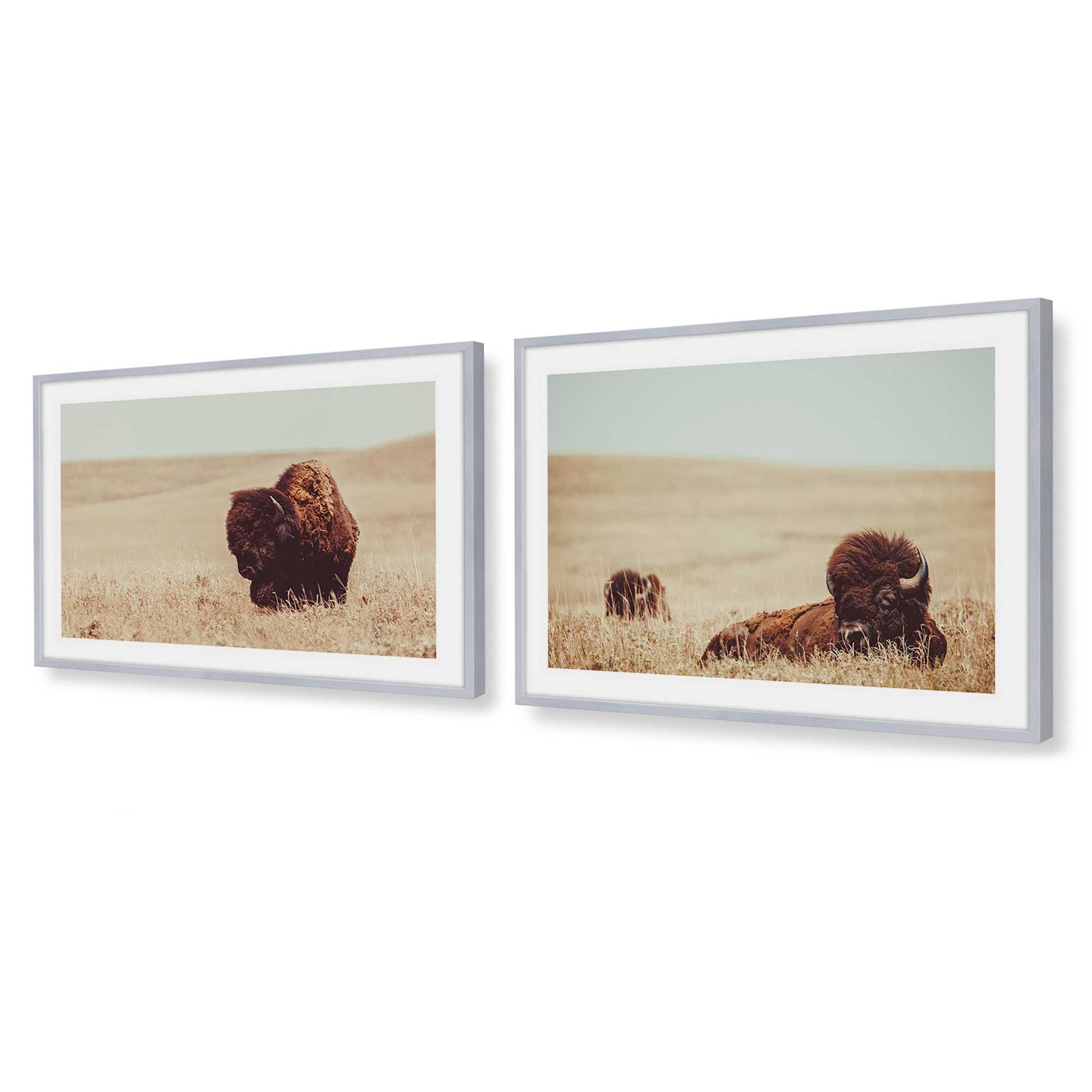 [Color:Polished Chrome], Picture of art in a Polished Chrome frame at an angle