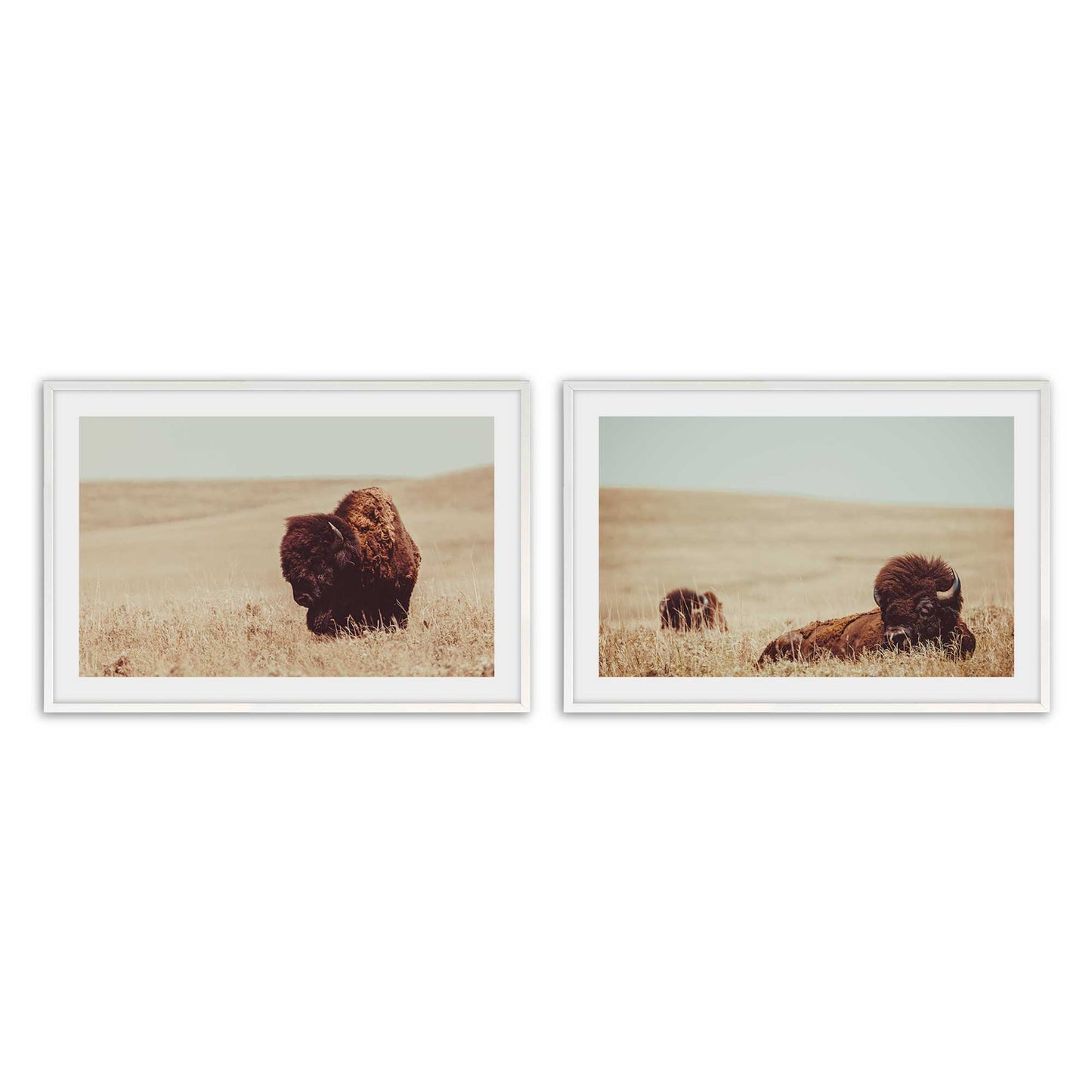 [Color:Opaque White], Picture of art in a Opaque White frame