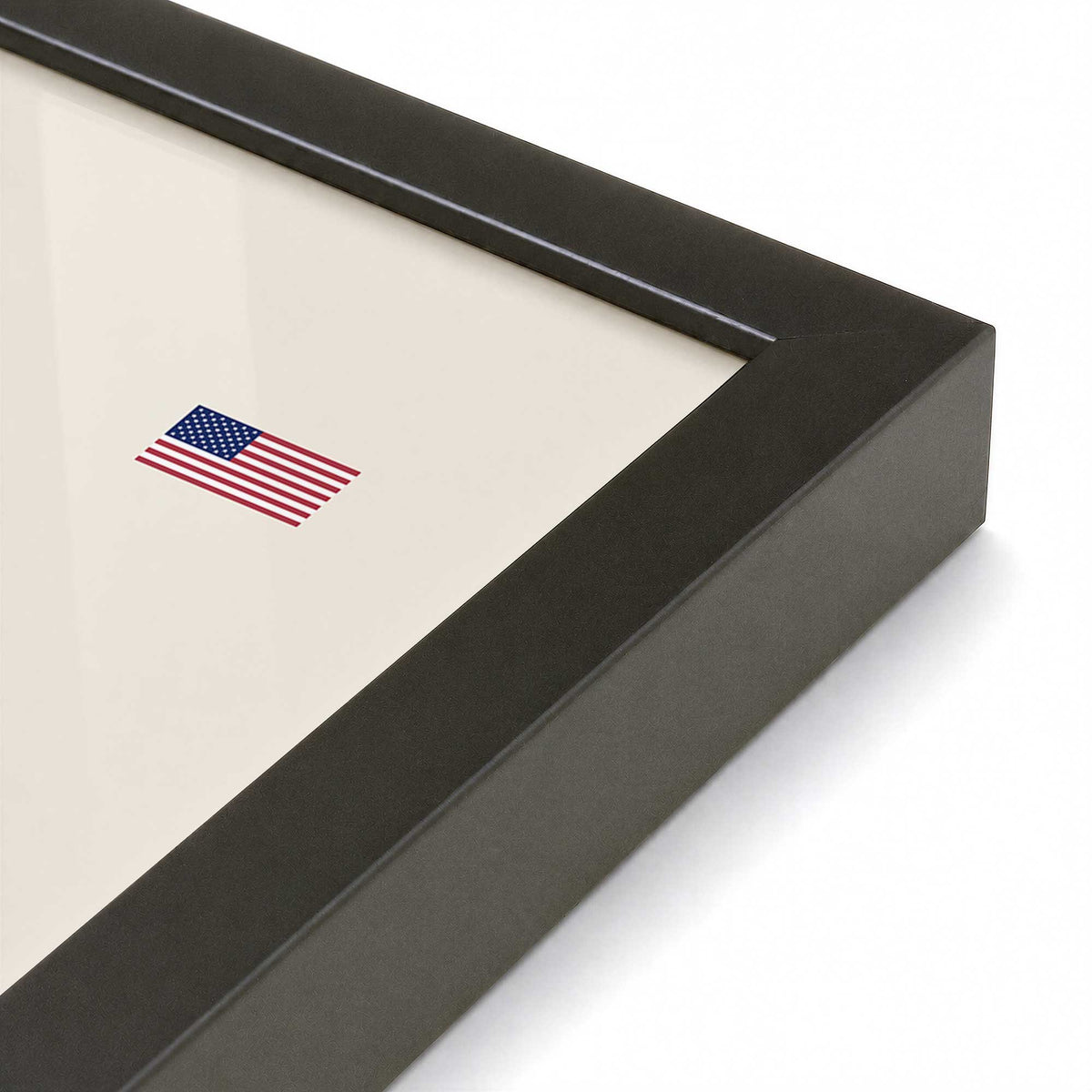 [Color:Satin Black], Picture of art in a Satin Black frame at an angle