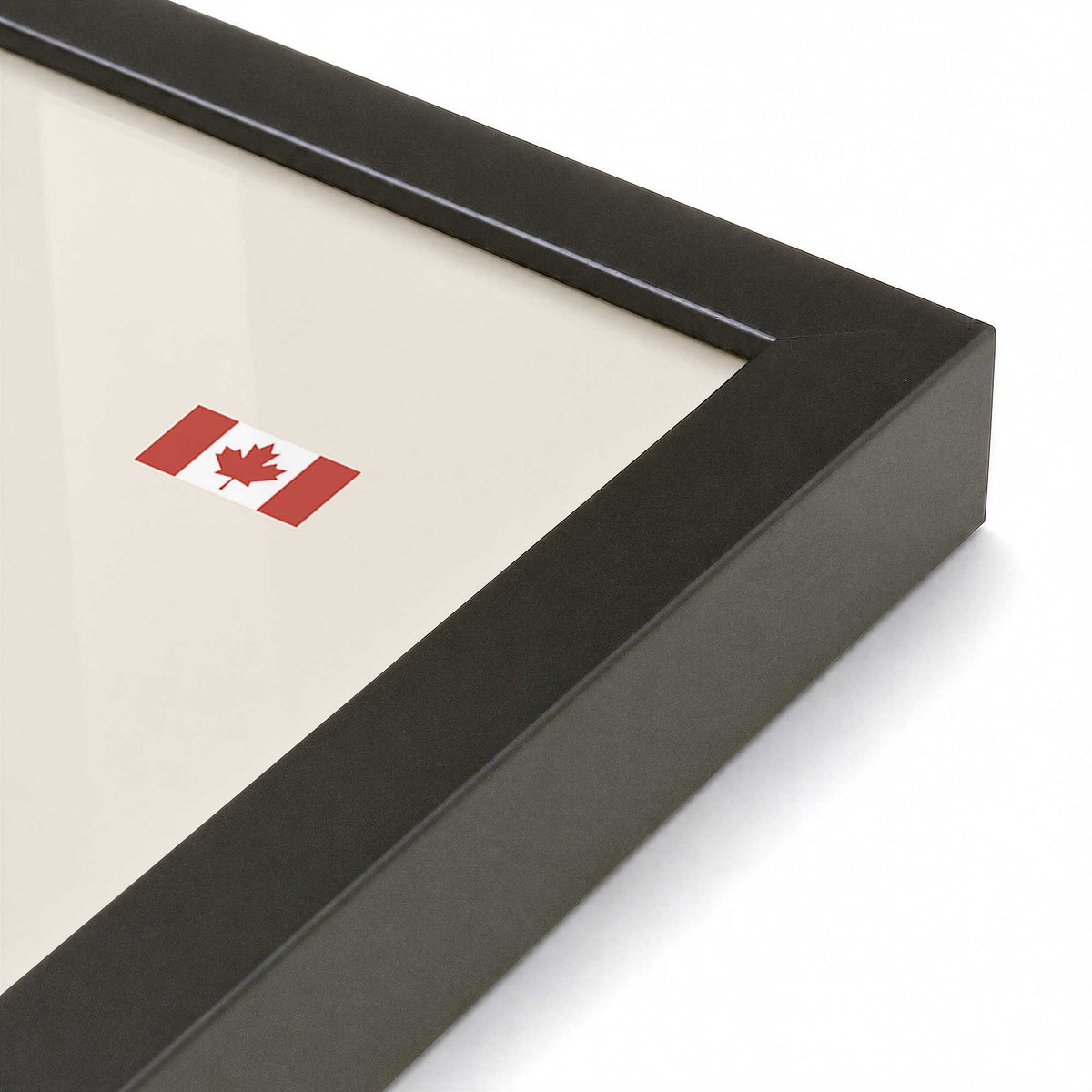 [Color:Satin Black], Picture of art in a Satin Black frame at an angle
