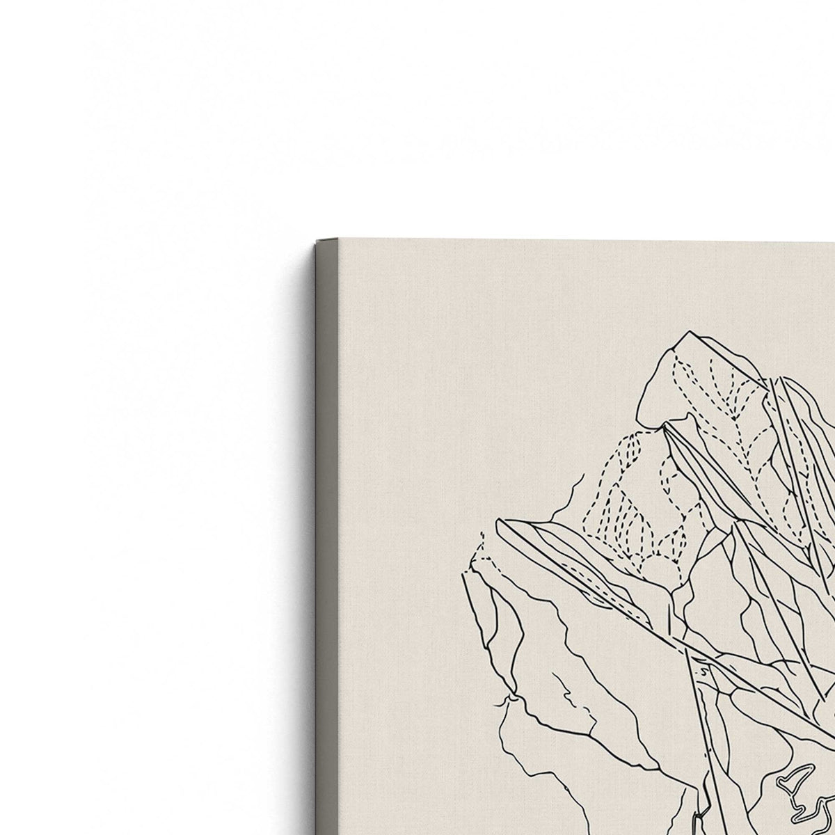 [Color:Stretched Canvas], Picture of the corner of the art