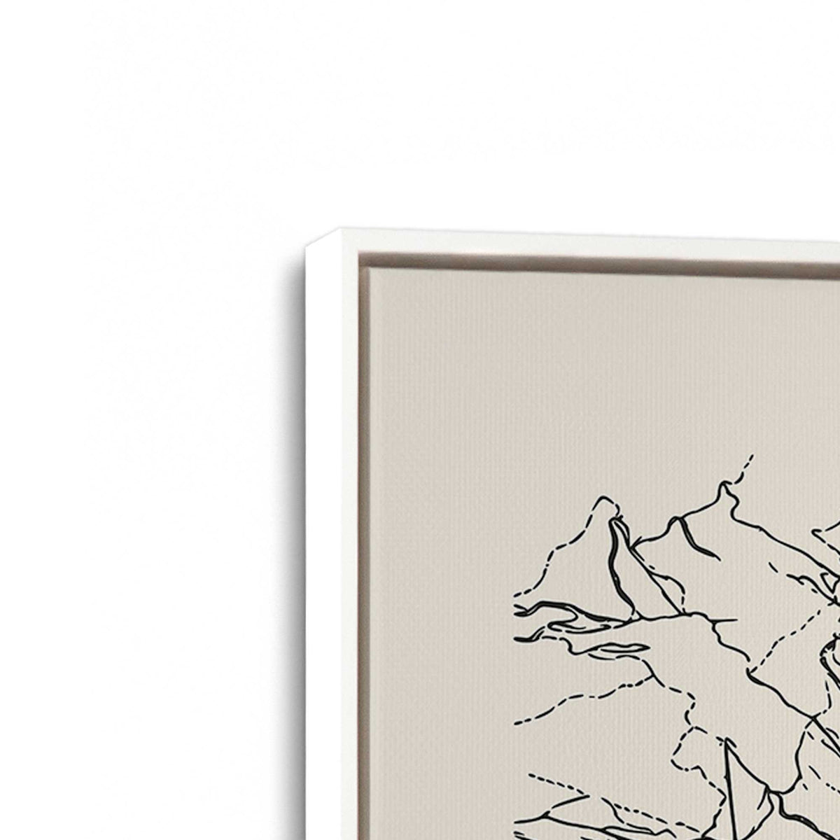 [Color:Opaque White], Picture of art in a White frame at an angle