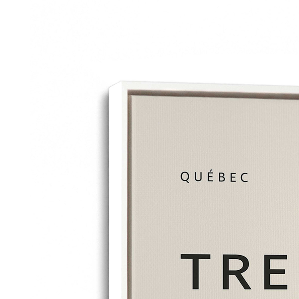 [Color:Opaque White], Picture of art in a White frame at an angle